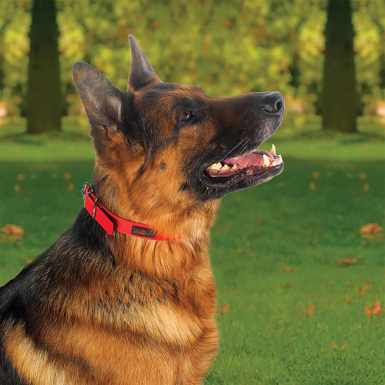Ultrahund True Fit Collar, 3/4 X 14, Pink