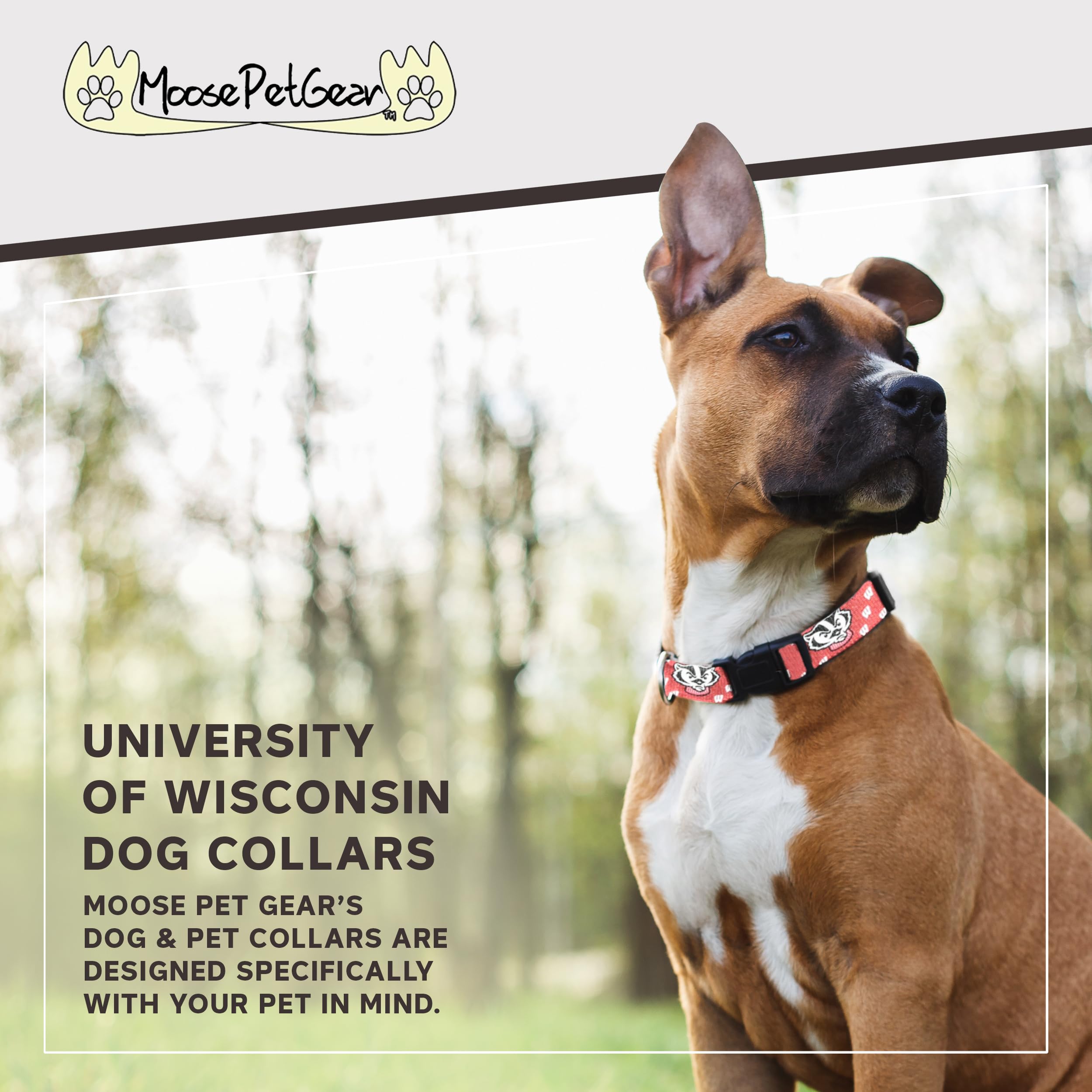 University Of Wisconsin Dog Collar - Deluxe Adjustable Dog Collars, 1' Wide Collar Adjusts 13 - 21', Large, Red Badger