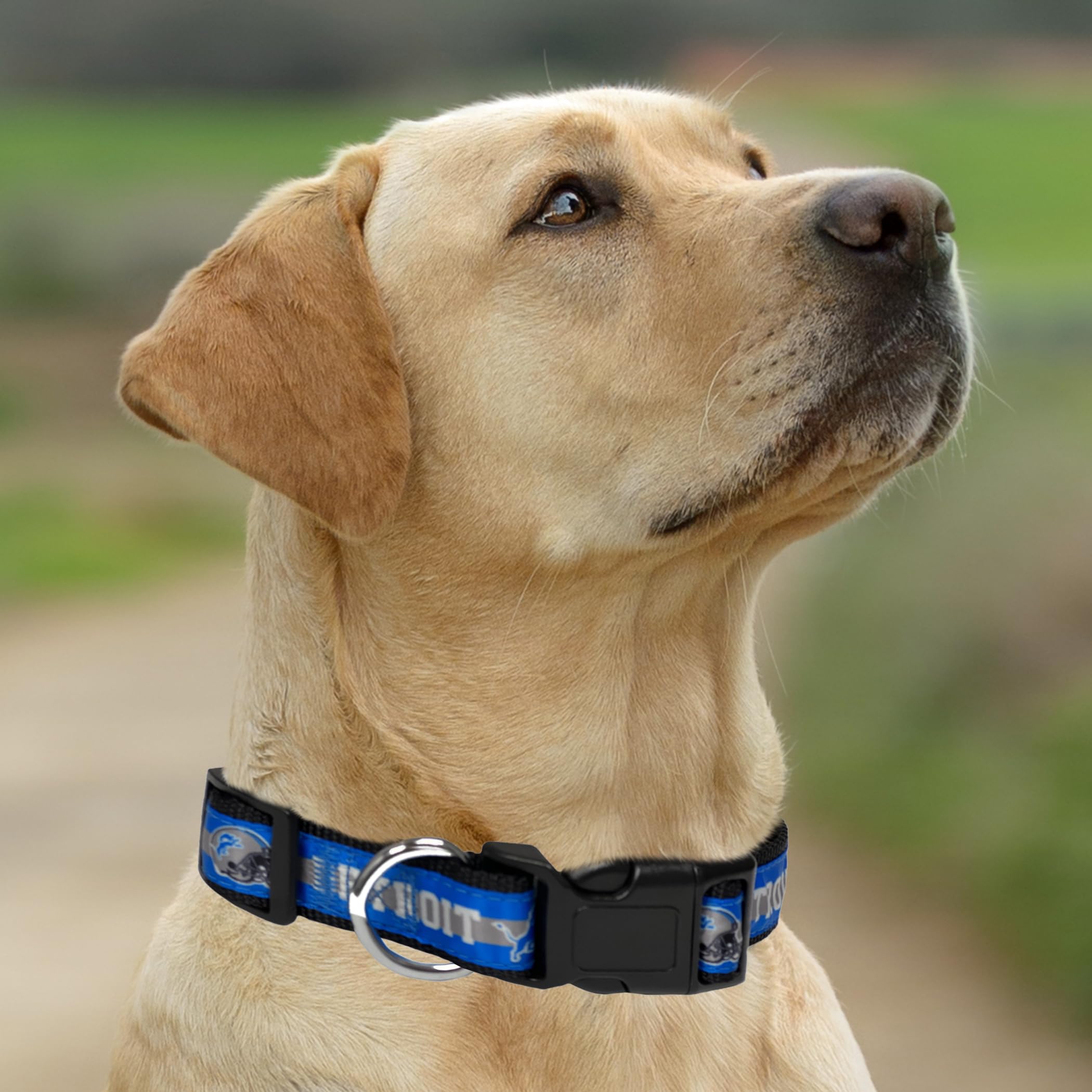 Pets First NFL Detroit Lions Licensed PET COLLAR, Small - Heavy-Duty, Strong, and Durable Dog Collar. Available in 31 Football T
