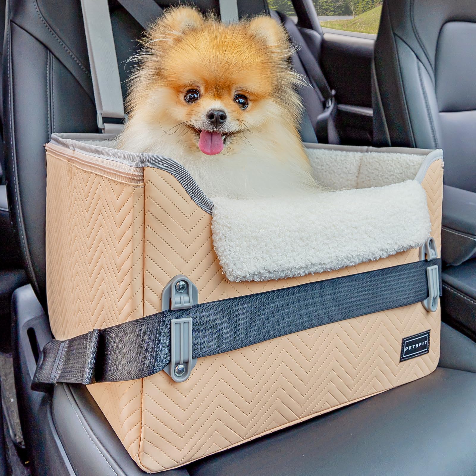 Petsfit Cat Car Seat, Waterproof Pu Leather Dog Booster Car Seat With Patent Safe Buckles, Clip-On Leash, Pet Travel Carrier Bed