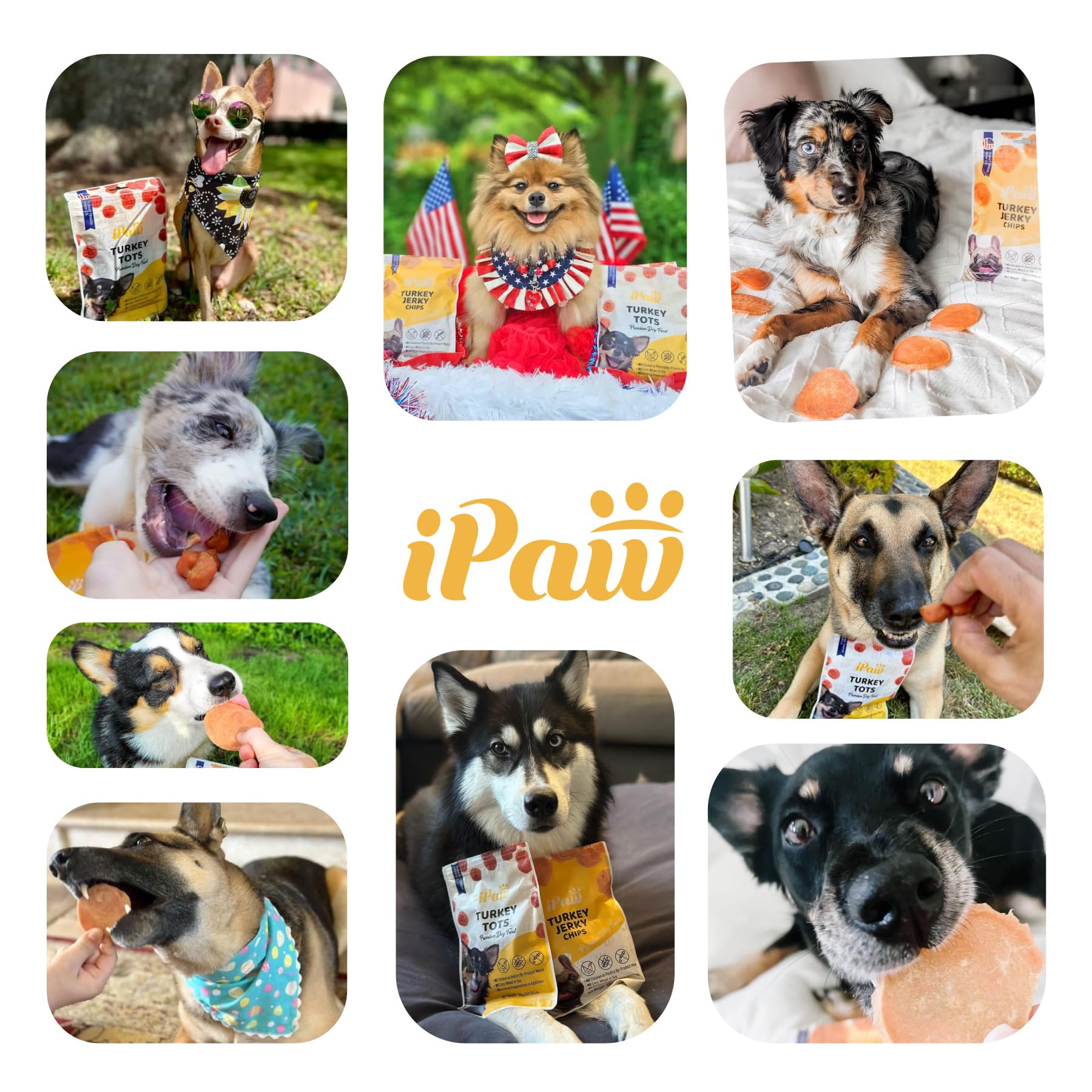 iPaw Dog Treats for Puppy Training, All Natural Human Grade Dog Treat, Hypoallergenic, Easy to Digest (Chicken Chips), 2 Packs