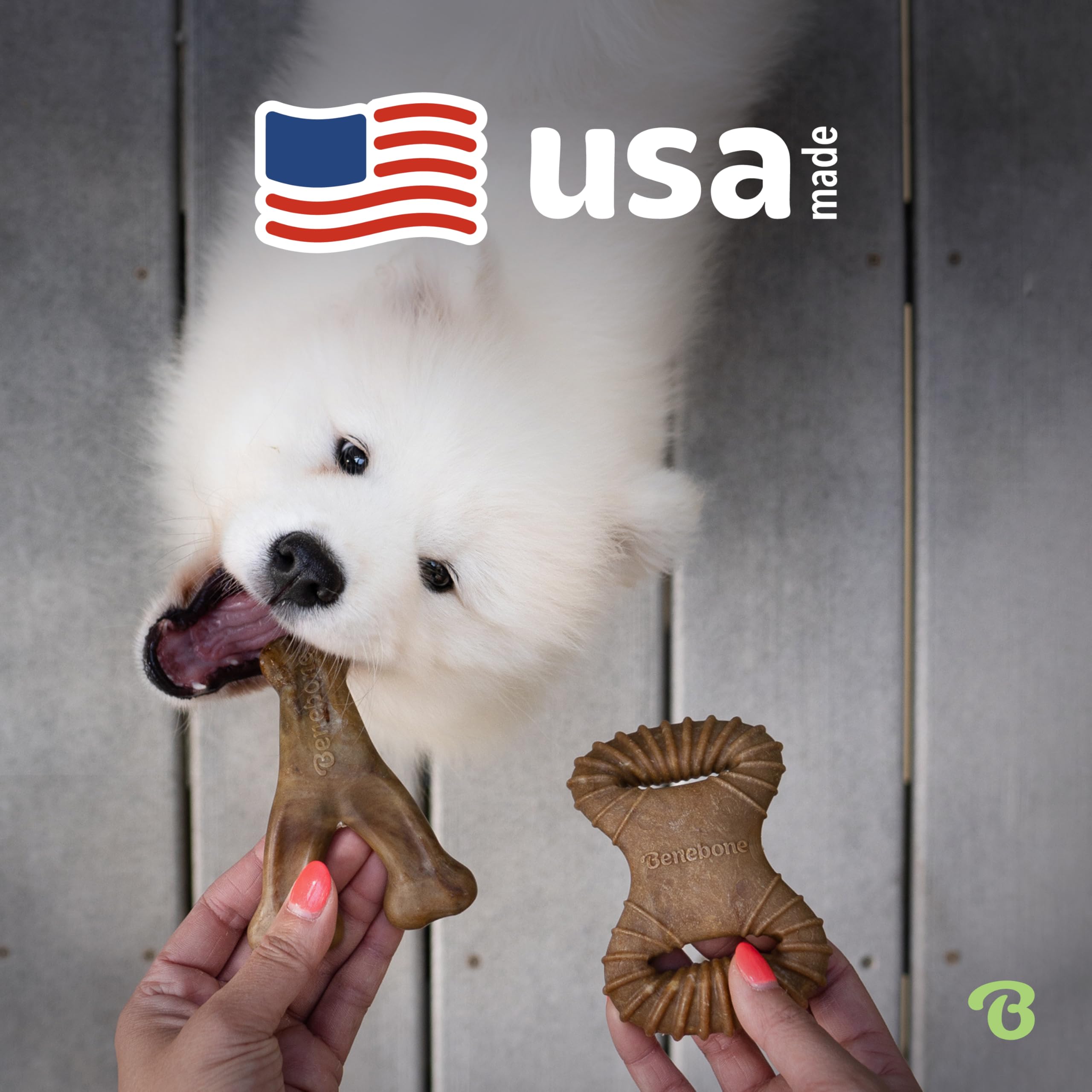 Benebone 2 Count (Pack Of 1) Wishbone/Dental Durable Dog Chew Toys, Real Bacon, Made In Usa, Small