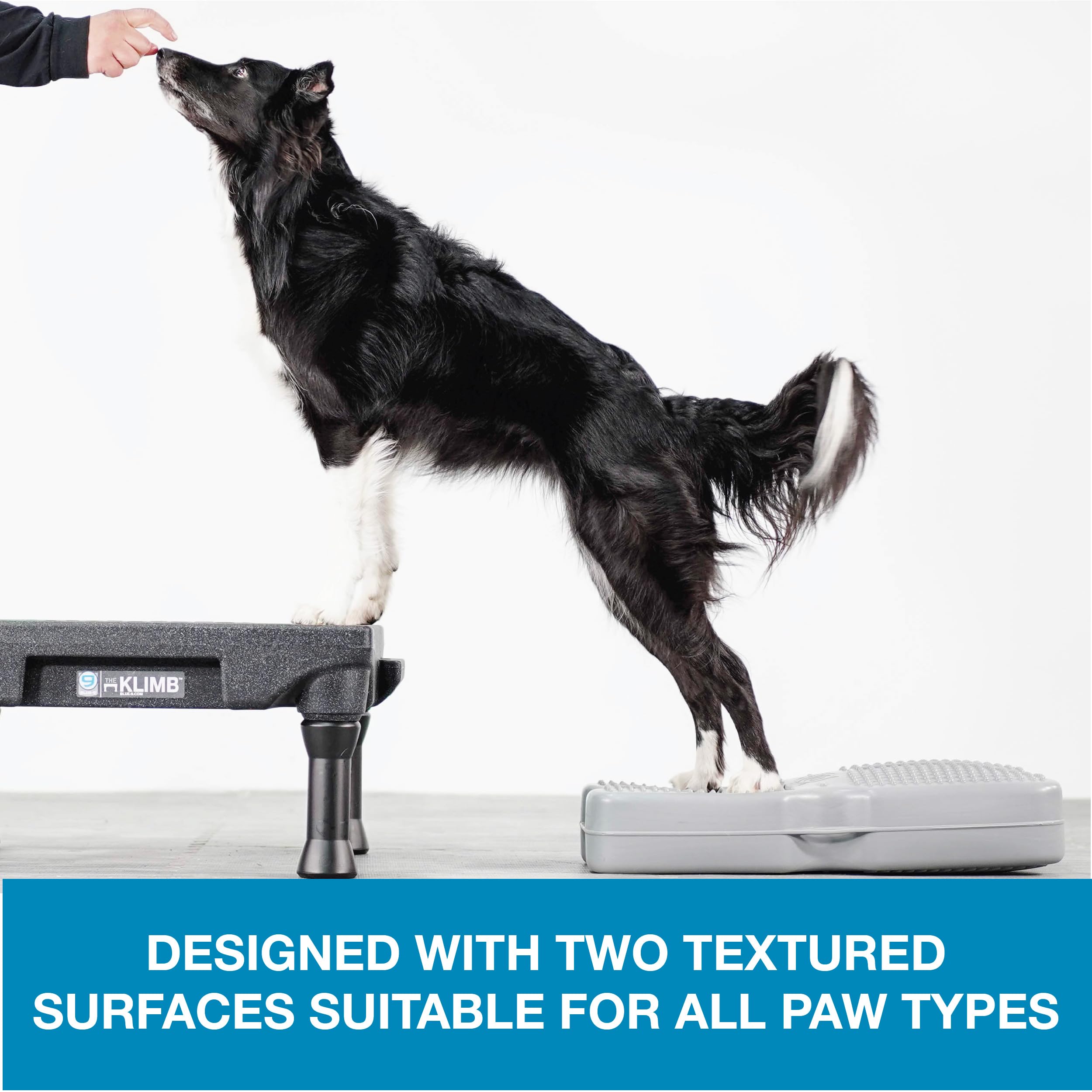 Blue-9 Propel Air Platform Kit, Professionally Designed Dog Training Accessories And Pet Products, Made In The Usa, Gray