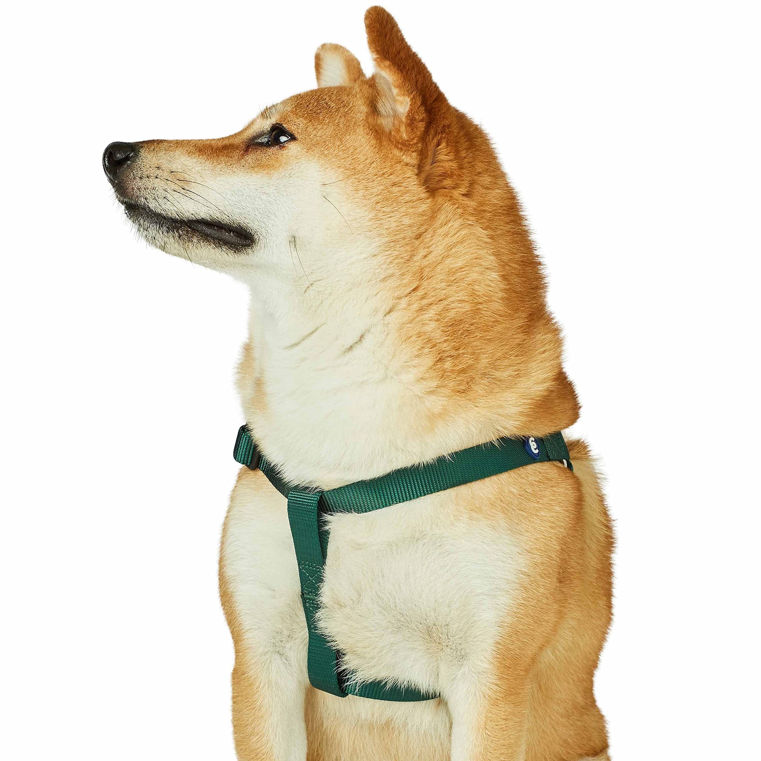 Blueberry Pet Essentials 2022 New Classic Durable Solid Nylon Step-In Dog Harness, Chest Girth 16.5'' - 21.5'', Verdant Green, S