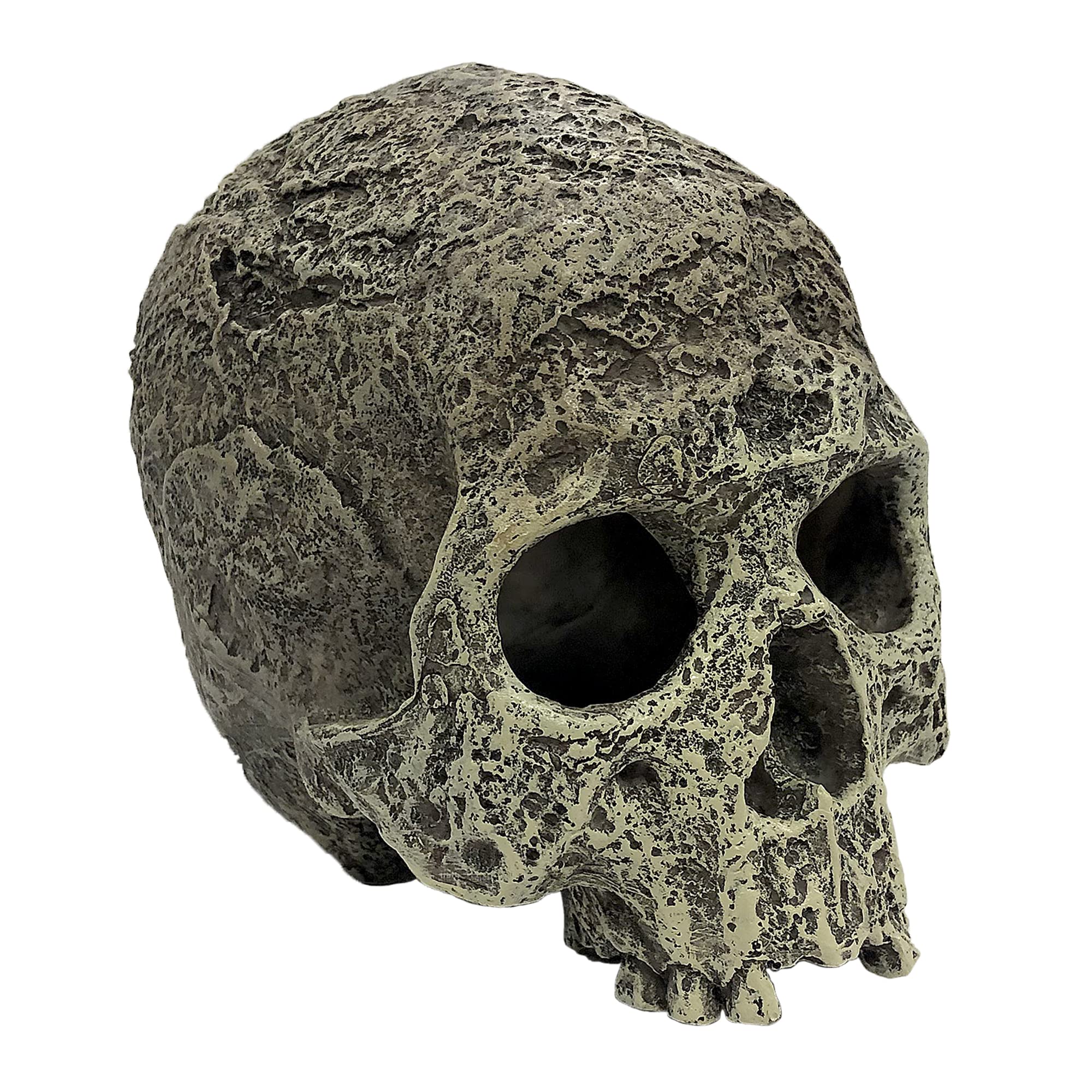 Komodo Reptile Terrarium Realistic Textured Human Skull Ornament Decor | Easy To Clean Under Water Aquarium Or Dry Habitat Decor