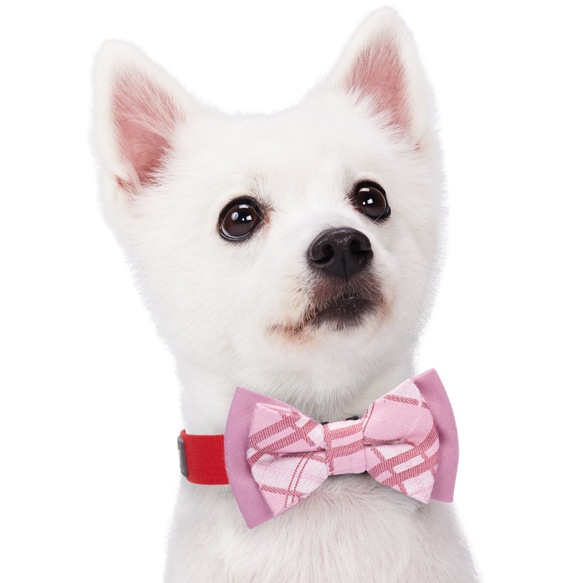 Blueberry Pet Gift Box with Pack of 2 Handmade Dog Cat Bow Tie, Scottish Plaid Tartan Style Bowtie Set in Baby Pink & Blue, 4 *