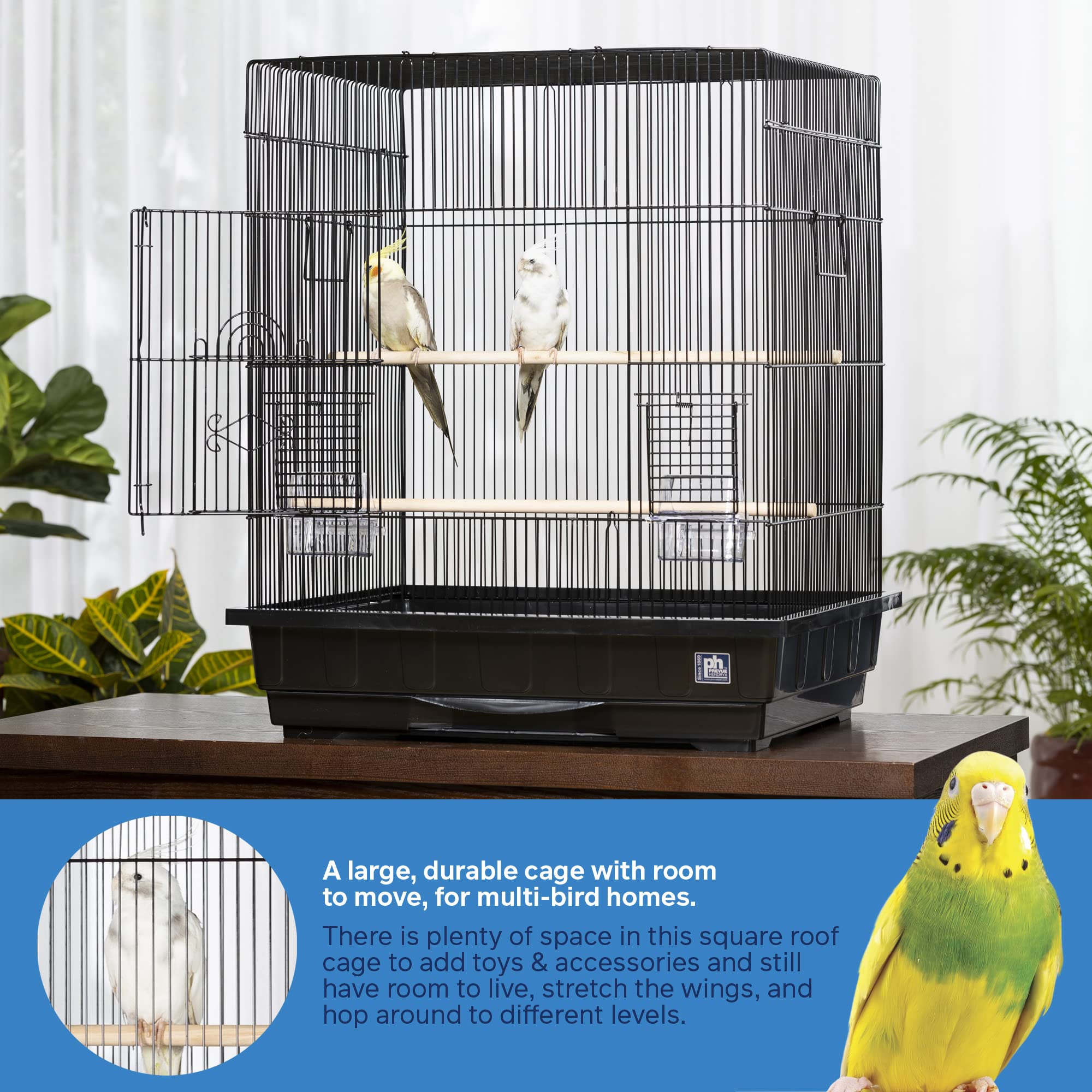Prevue Pet Products Square Top Parakeet Cage, Black