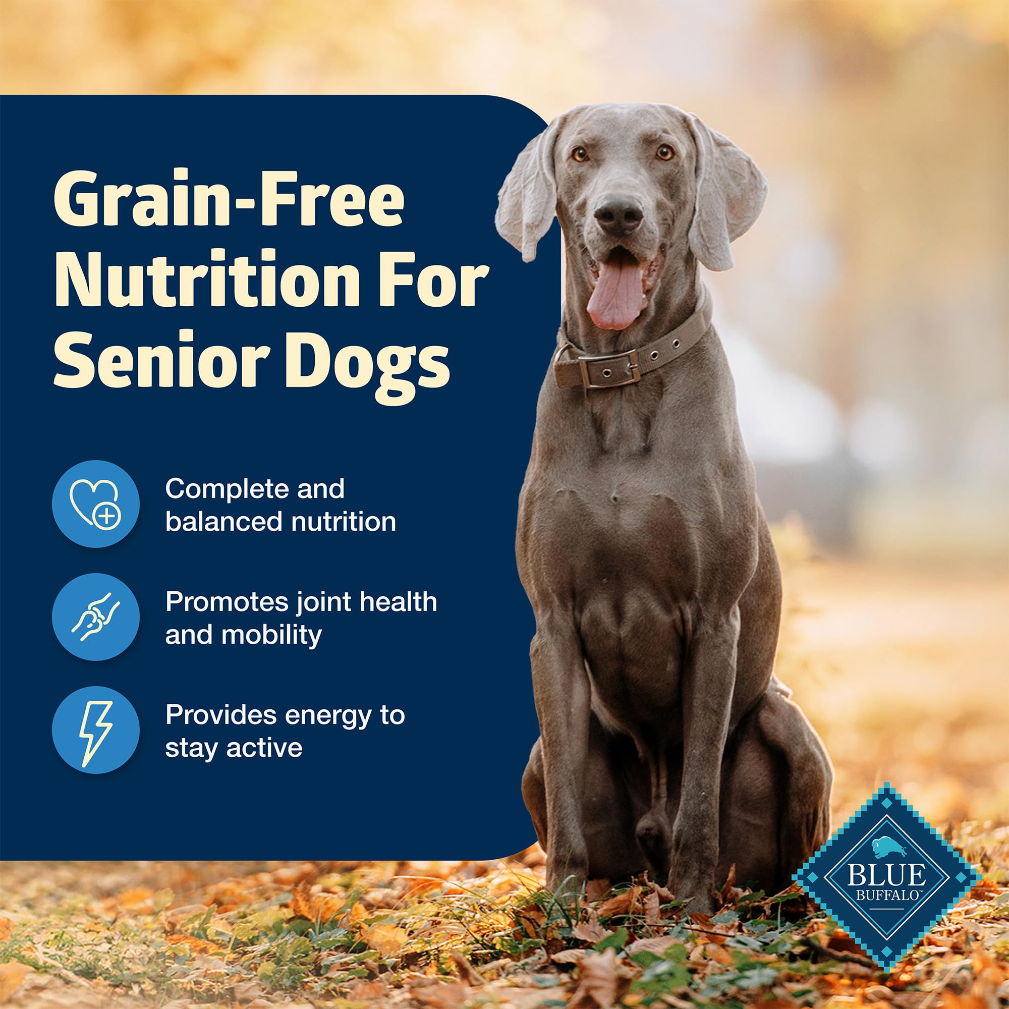 Blue Buffalo Freedom Grain-Free Senior Wet Dog Food, Free of Glutens & Artificial Preservatives, Made With Natural Ingredients,