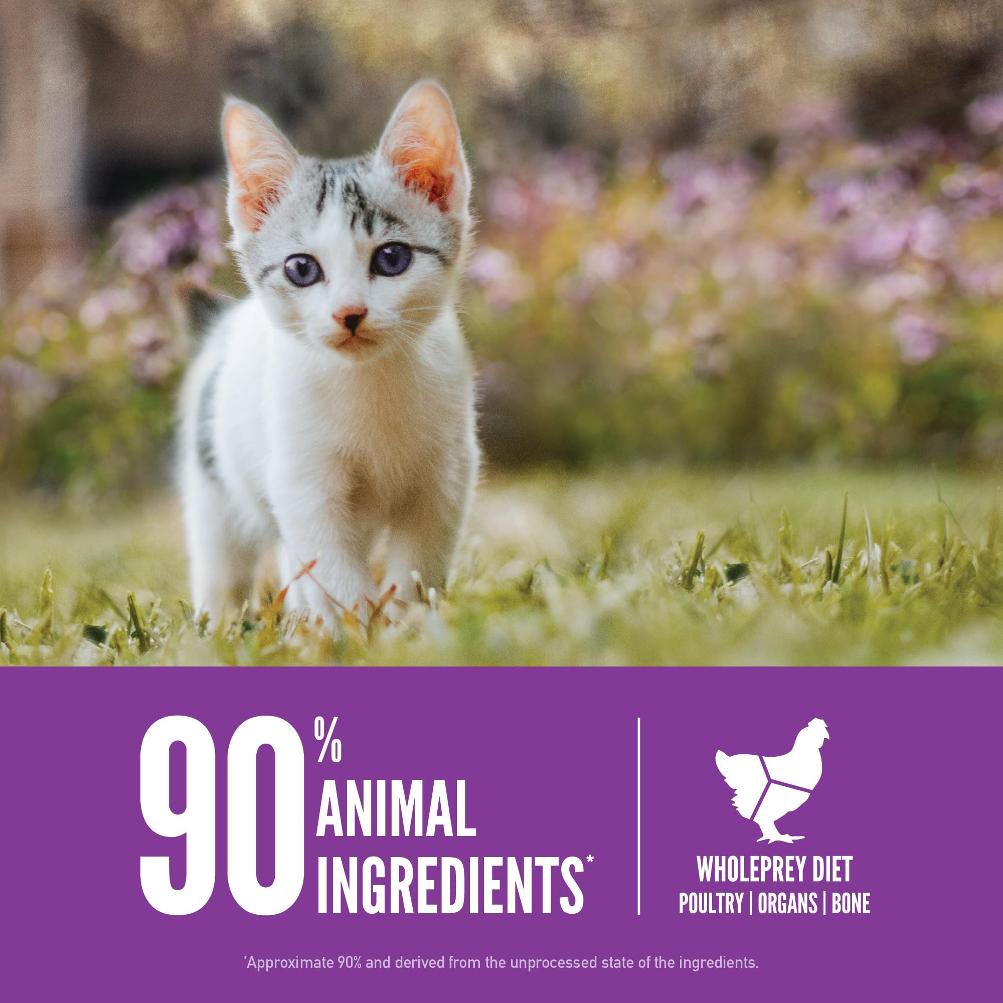 ORIJEN Dry Kitten Food, Grain Free Food for Kittens, with WholePrey Ingredients, 4lb
