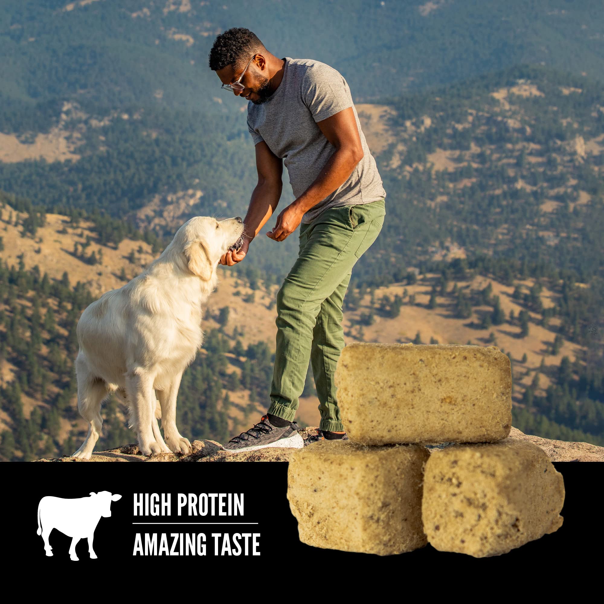 ORIJEN Freeze Dried Dog Treats, Grain Free, High Protein, Raw Animal Ingredients, Ranch-Raised Beef, 3.25oz