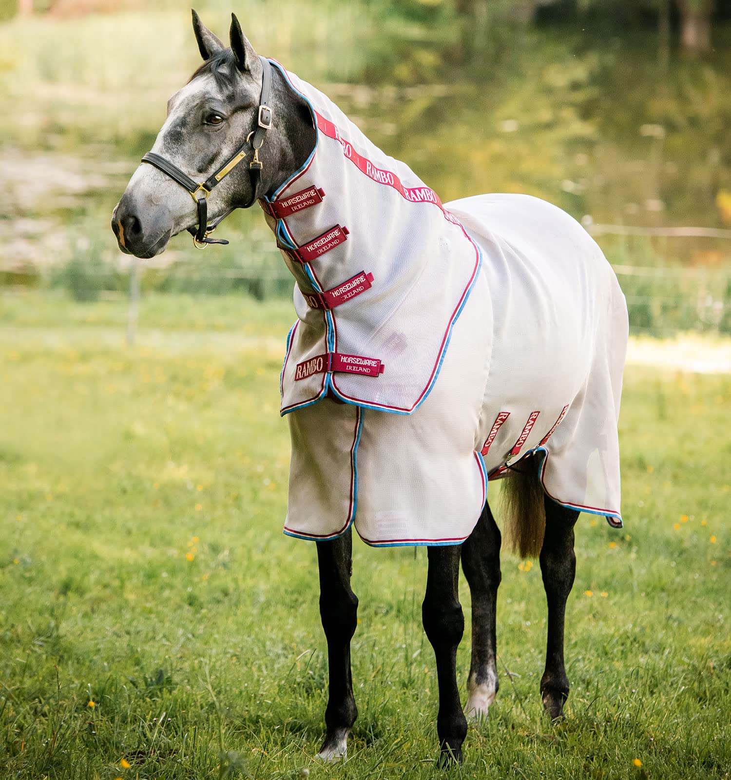 Horseware Rambo Protector Fly Sheet with Disc Front Closure (0g Light)