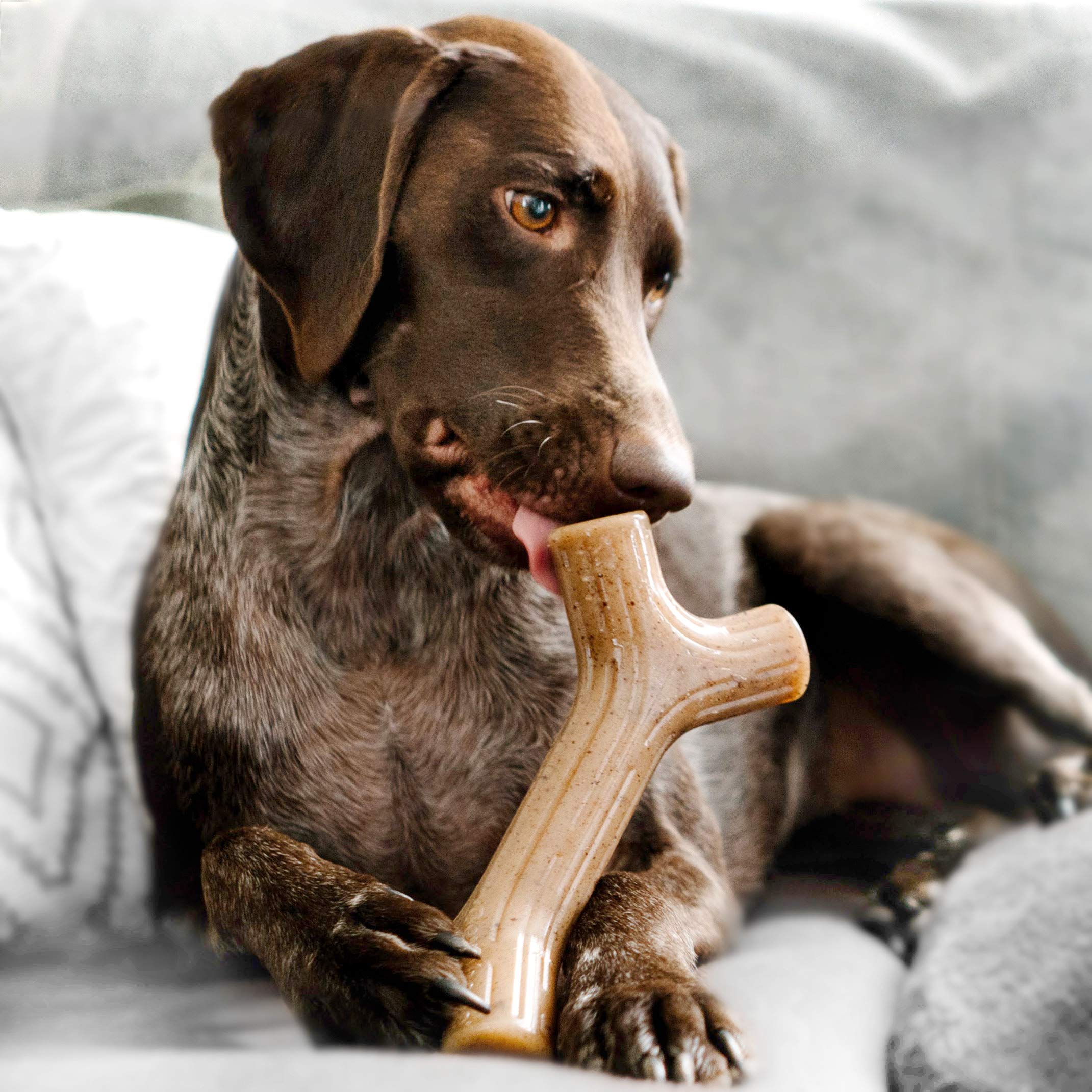 Benebone Maplestick Durable Dog Chew Toy For Aggressive Chewers, Real Maplewood, Made In Usa, Large