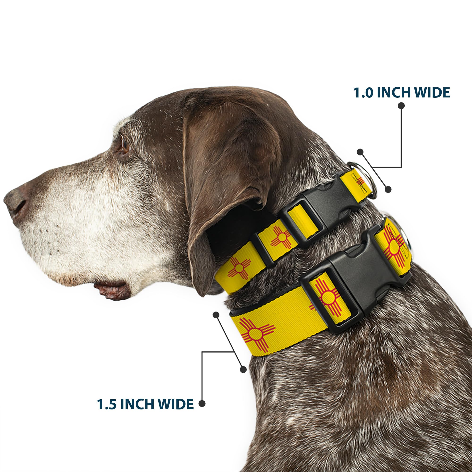 Buckle-Down Dog Collar Plastic Clip New Mexico Flag Yellow Red 8 To 12 Inches 0.5 Inch Wide