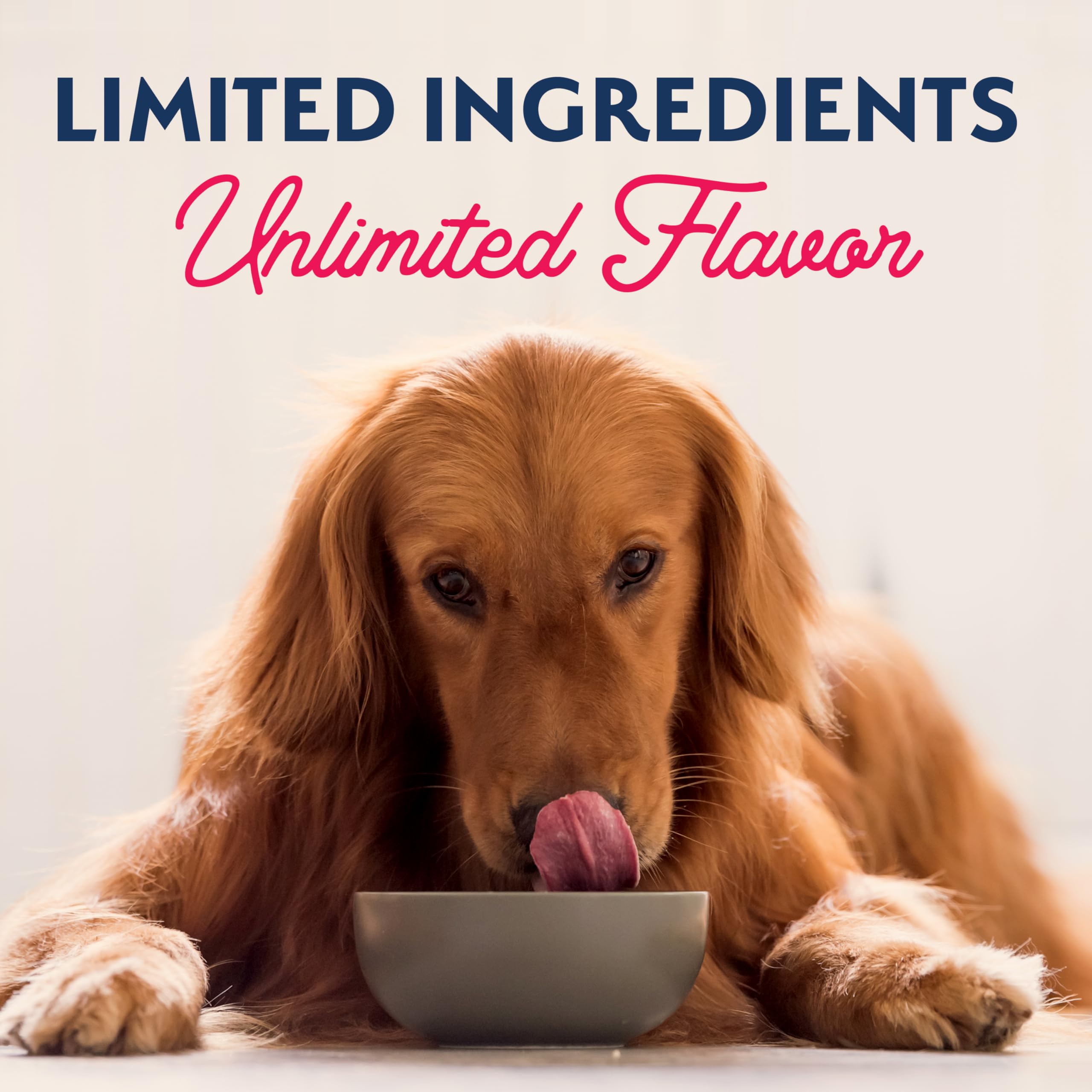 Natural Balance Limited Ingredient Adult Wet Canned Dog Food with Healthy Grains, Whitefish, Brown Rice & Salmon Recipe, 13 Ounc