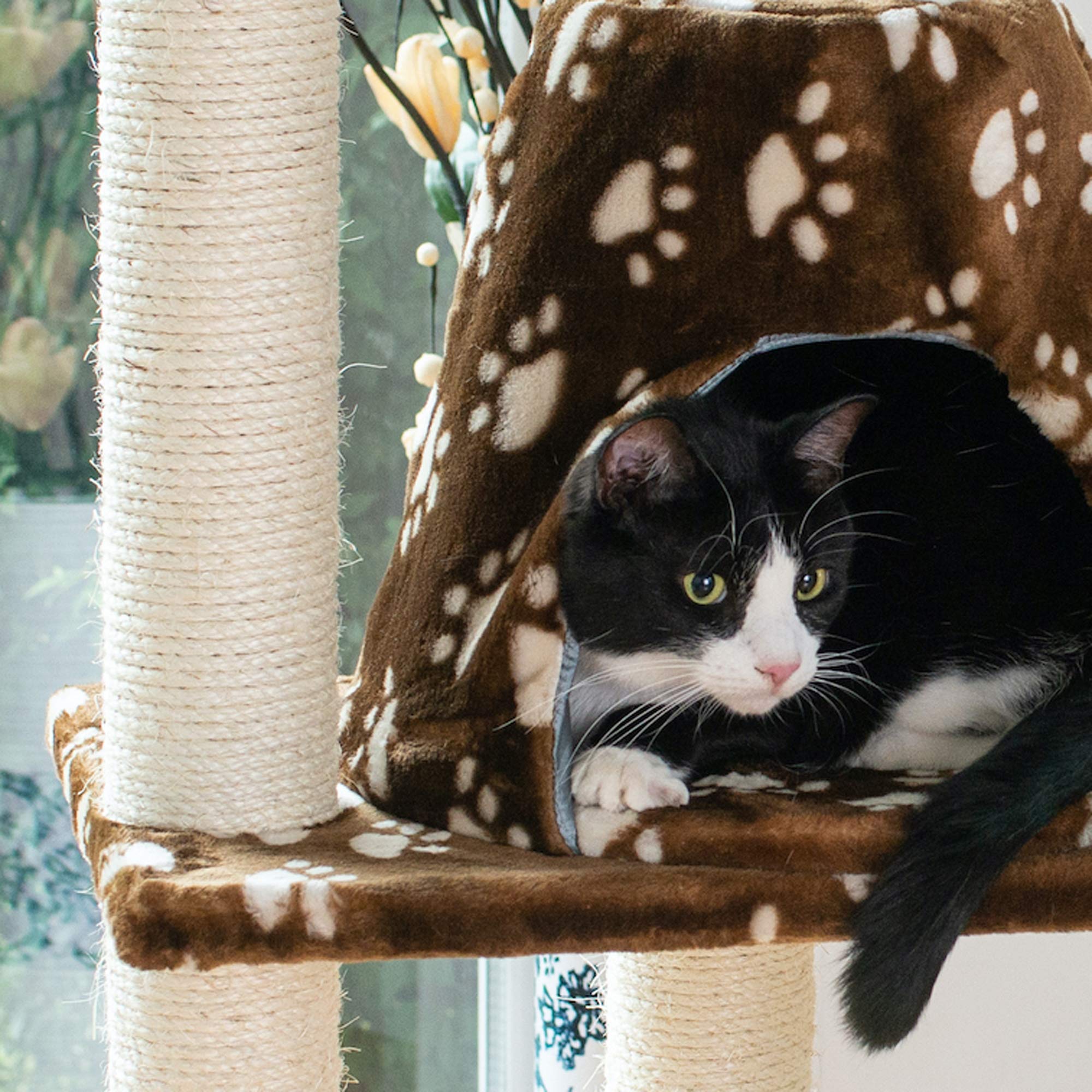 Armarkat Cat Tree Model A6601, Saddle Brwon W/White Paw Print