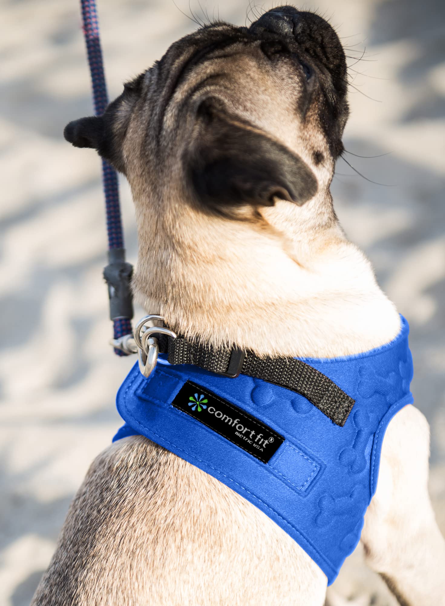 Cold Weather Dog Harness - Comfortable & Adjustable Harnesss For Dogs - Easy Walk Dog Harness (Blue, Chest Size 13' - 17')