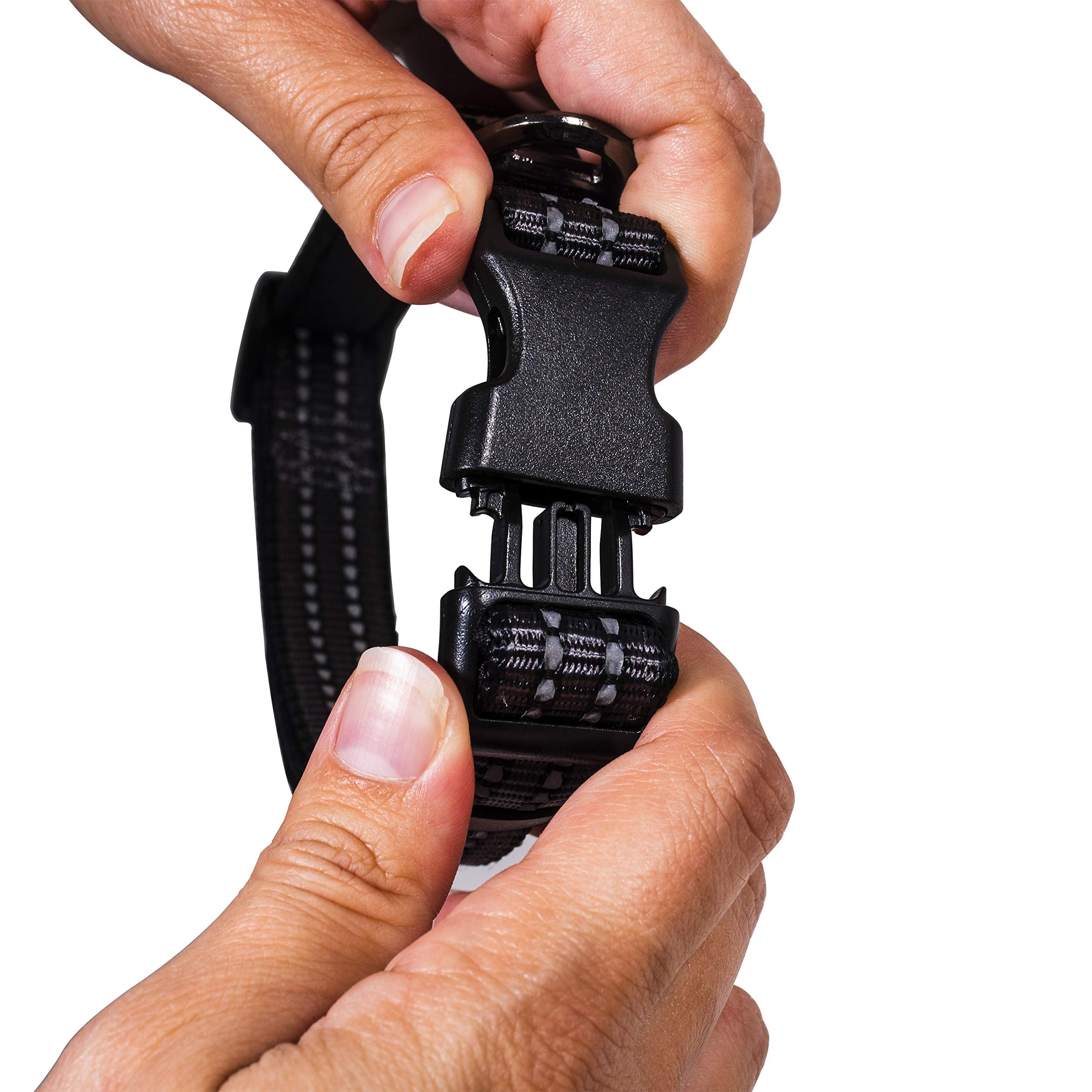 Franklin Pet Supply Co. - Nylon Dog Collar - Reflective Comfort - Fit - Neoprene - Adjustable- Small- Medium - Large - Puppy - Dog - Cat- Easy Clip