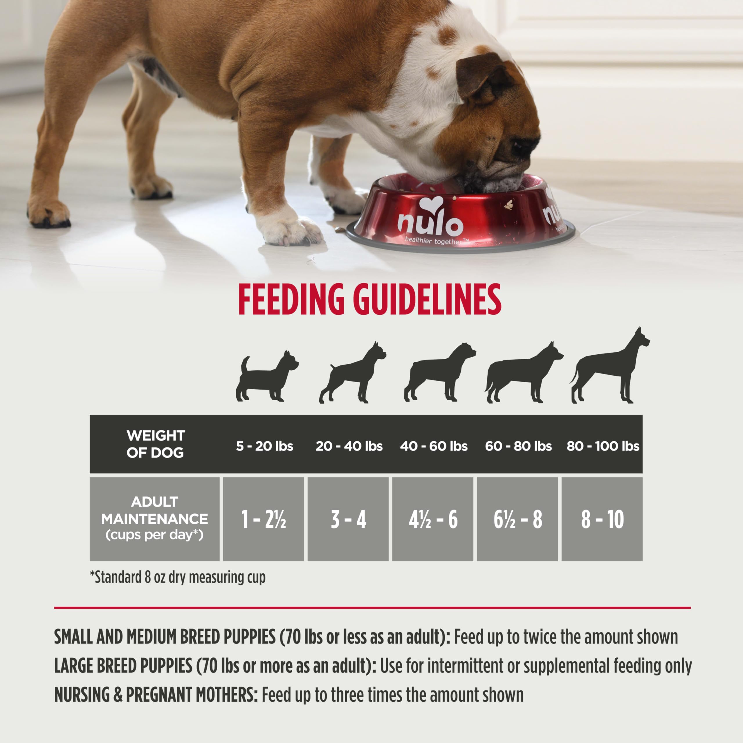 Nulo Freeze-Dried Raw Duck Recipe with Pears Complete and Balanced Dry Dog Food Kibble, 8 Ounce Bag