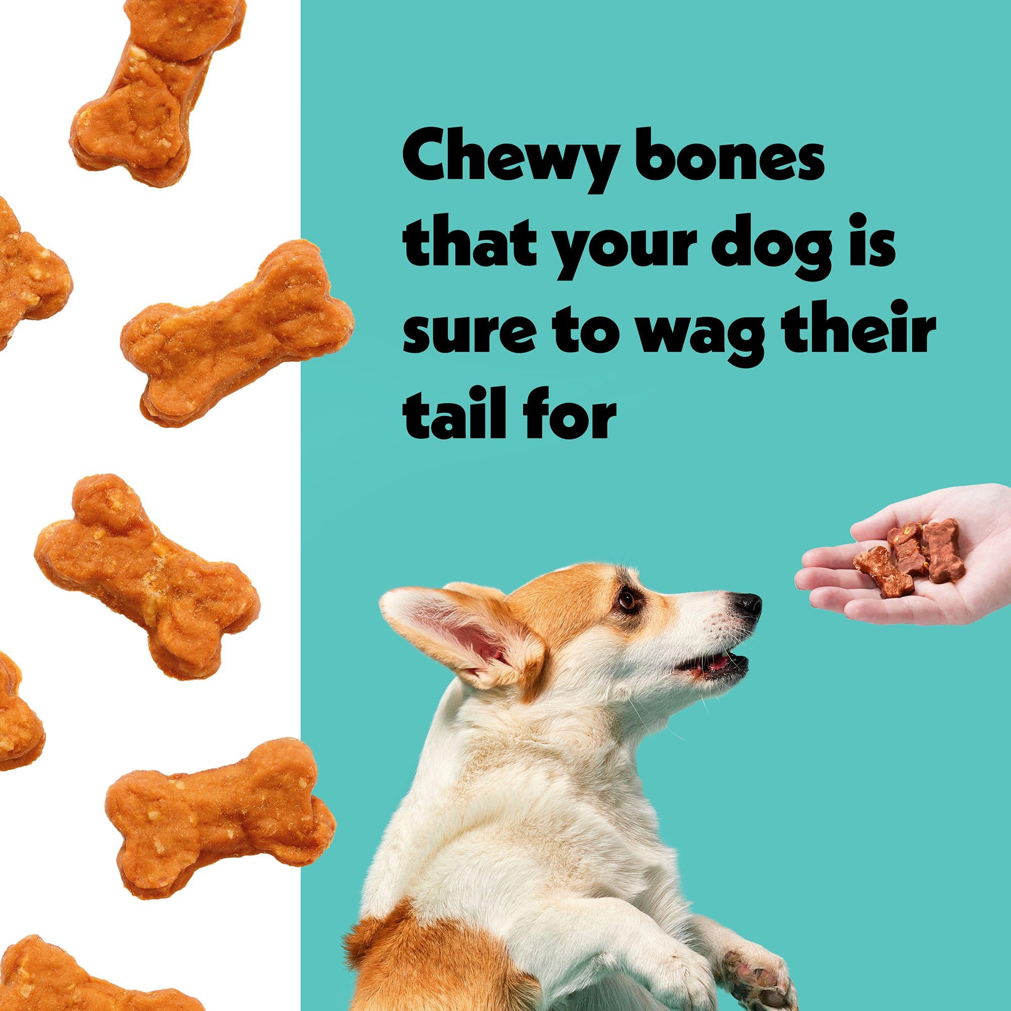 Wiggles & Wags Bacon & Cheese Soft Chews Dog Treats, Bone-Shaped, 1 Ounce (Pack of 6)