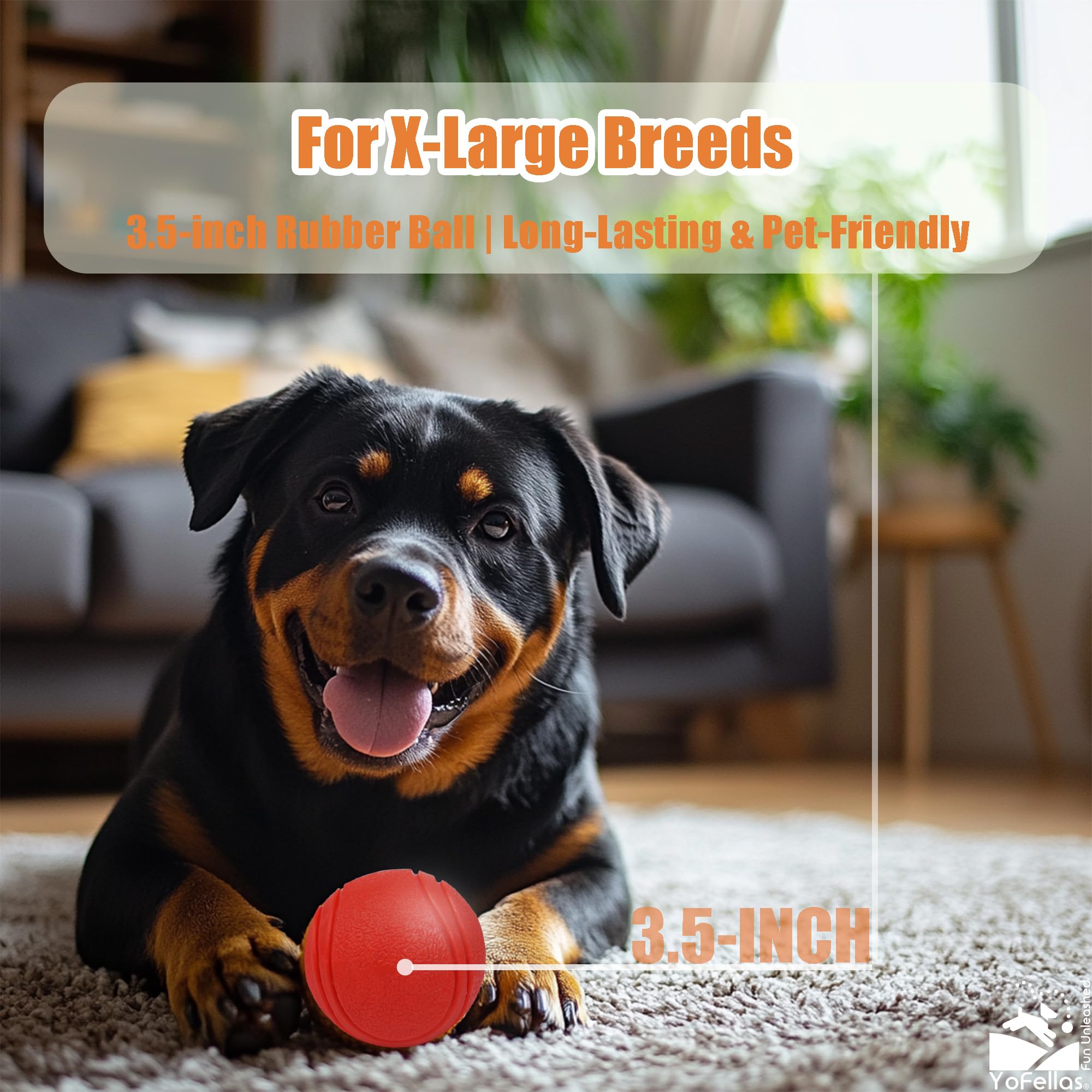 YoFellas Dog Toy Ball with Handle - Durable Squeaky Fetch Ball for Medium & Large Dogs, Floating Interactive Chew Toy for Water