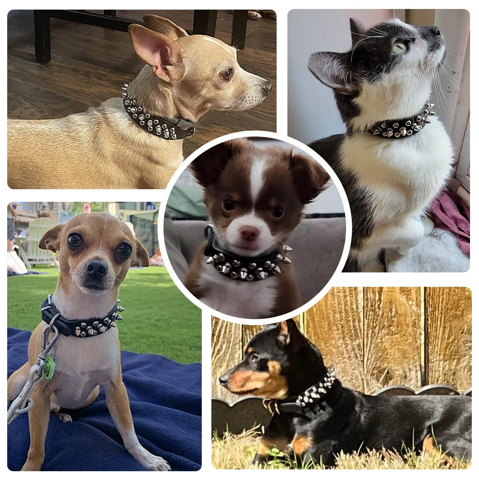 Doggyzstyle Small Spiked Black Dog Cat Collar For Small Medium Dogs Boy Male - Adjustable Studded Puppy Collars - Soft Padded Pu