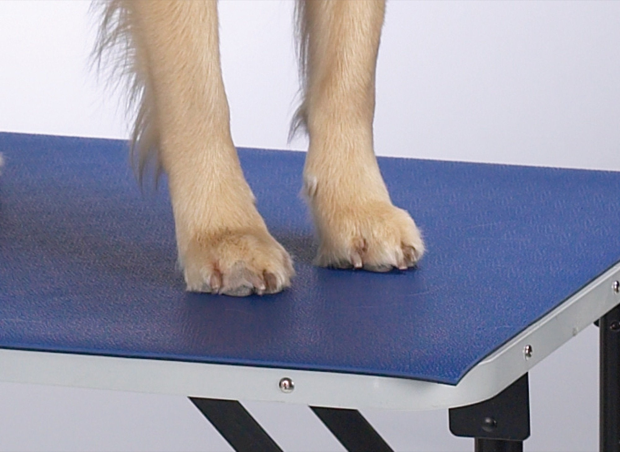 Top Performance Pvc And Foam Pet Groomers Table Mat