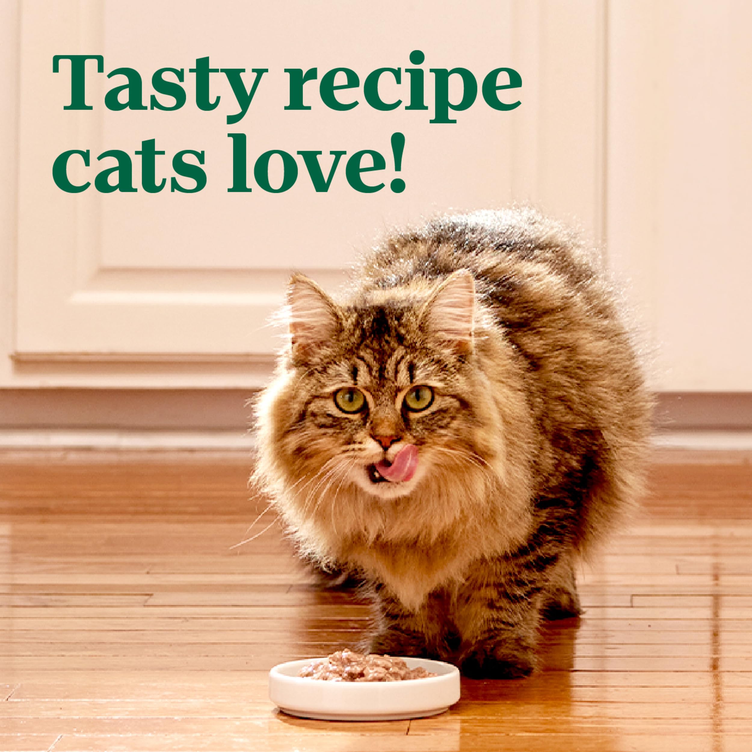 NUTRO PERFECT PORTIONS Cuts in Gravy Real Tuna Wet Cat Food Trays 2.65 Ounces (24 Twin Packs)