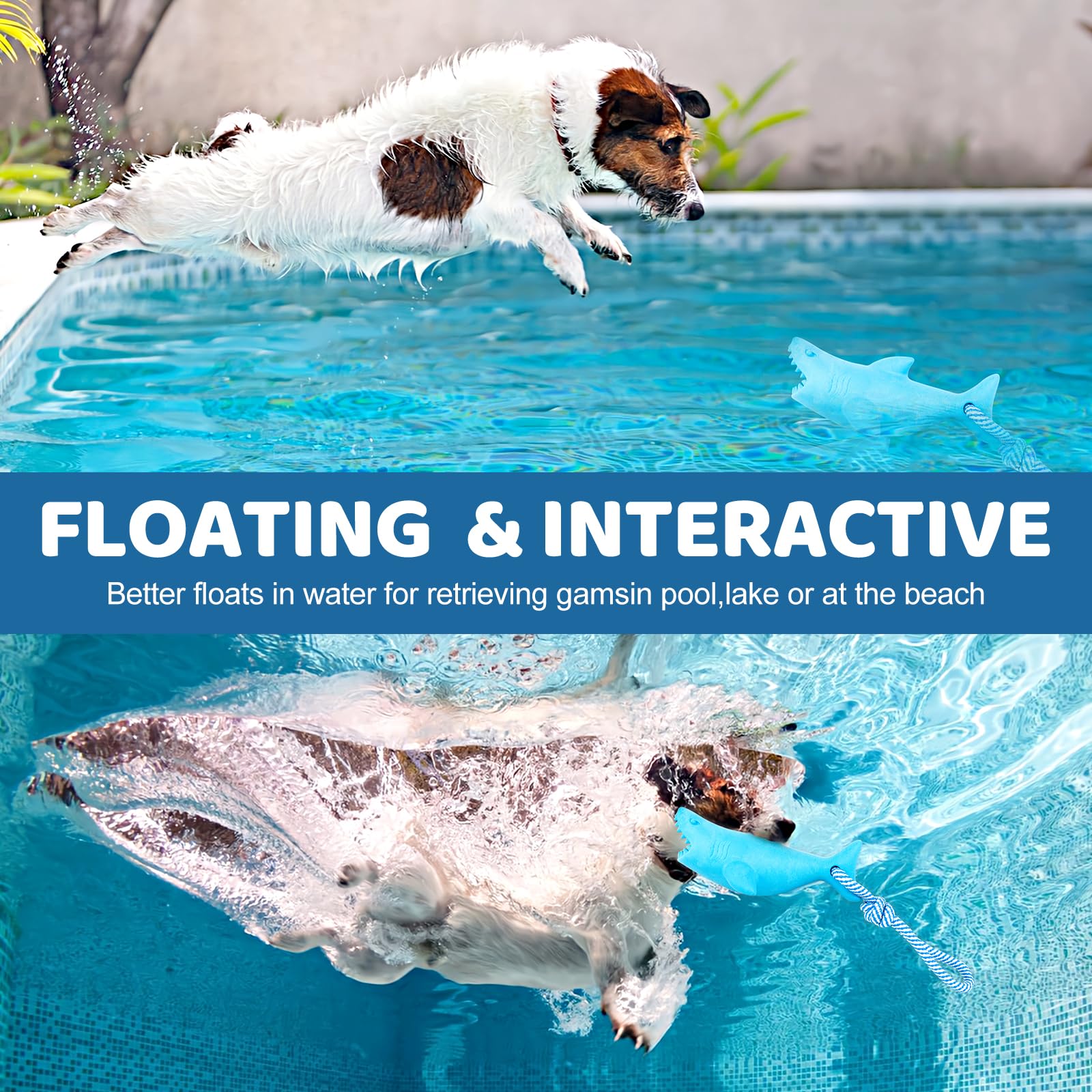 Coubontail Floating Toy For Aggressive Chewers - Interactive Fetch & Play Dog Beach Toy Set: Shark + Dino
