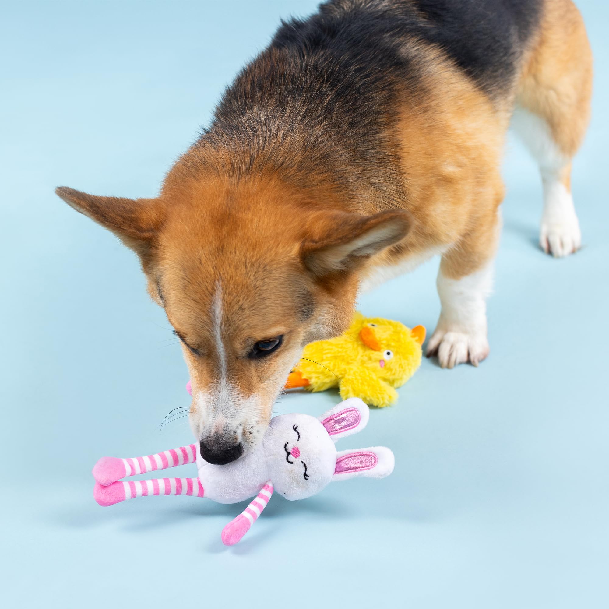 Fringe Studio Plush Dog Toy, 2 Pieces Set, Hoppy Go Clucky, Petshop Collection (312064)
