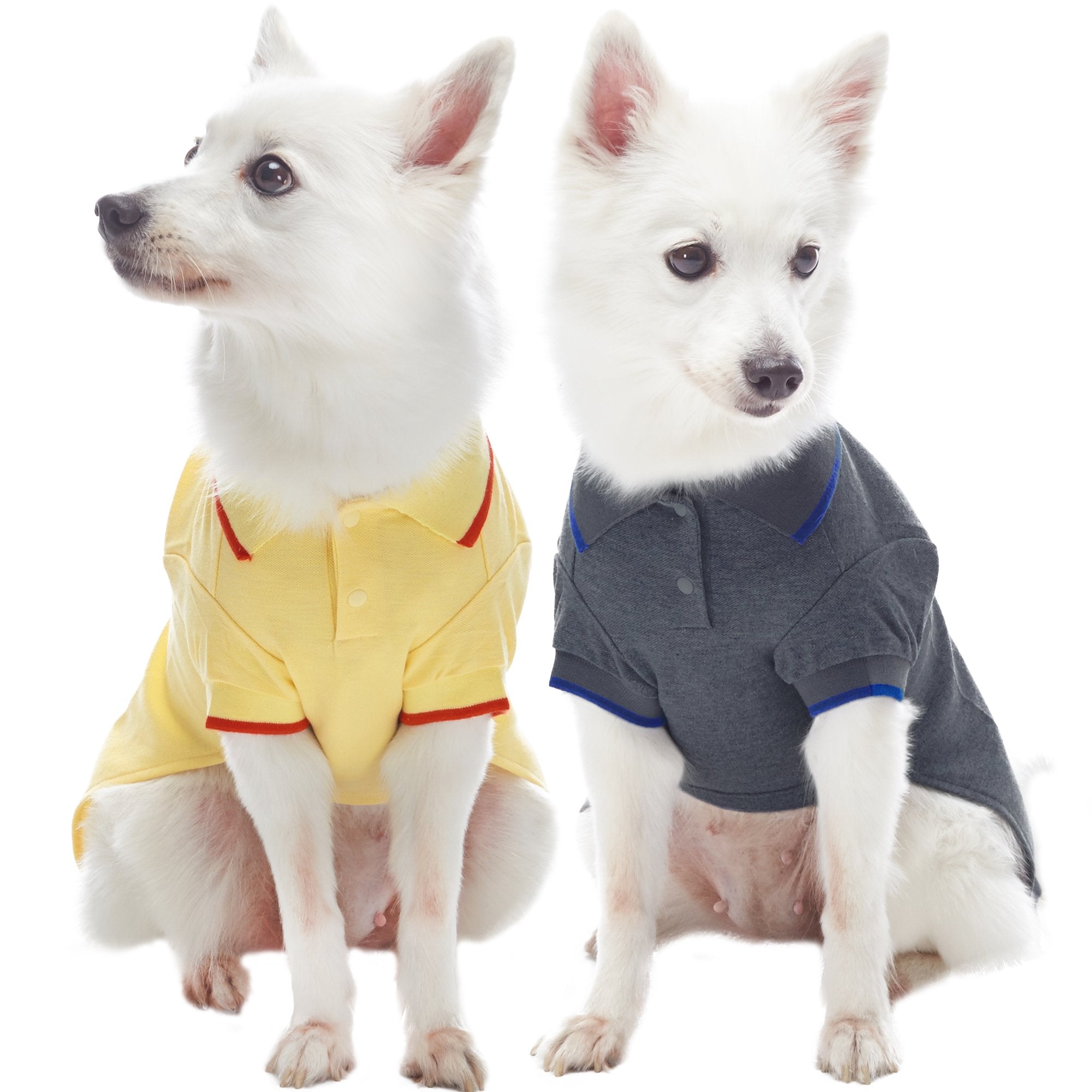 Blueberry Pet Back to School 2-Pack Prep School Style Dog Polo Shirts | Cotton Outfit for Small Pets in Yellow + Smart Grey, Bac