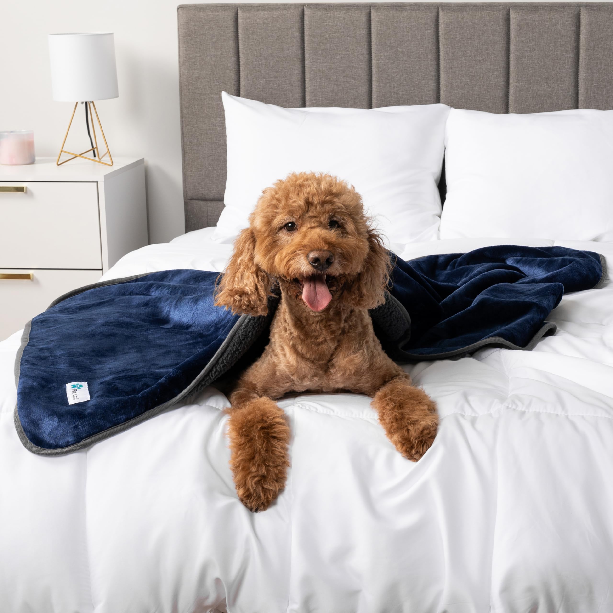 Petami Waterproof Dog Blanket For Medium Large Dogs, Pee Proof Pet Blanket For Bed Couch, Reversible Water Proof Blanket For Puppy Indoor Cat, Soft Dog Pee Crate Cover Washable, 60X80 Navy/Gray
