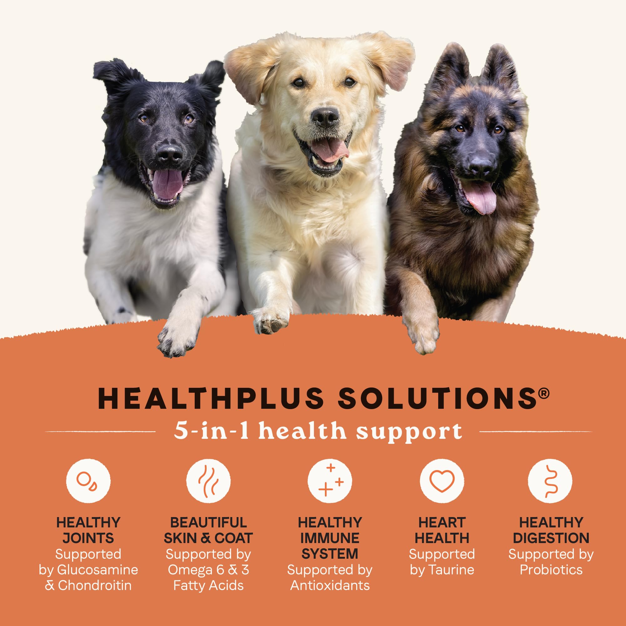 Canidae All Life Stages High Protein Dry Dog Food, Salmon & Ancient Grains Recipe, 4 lbs.