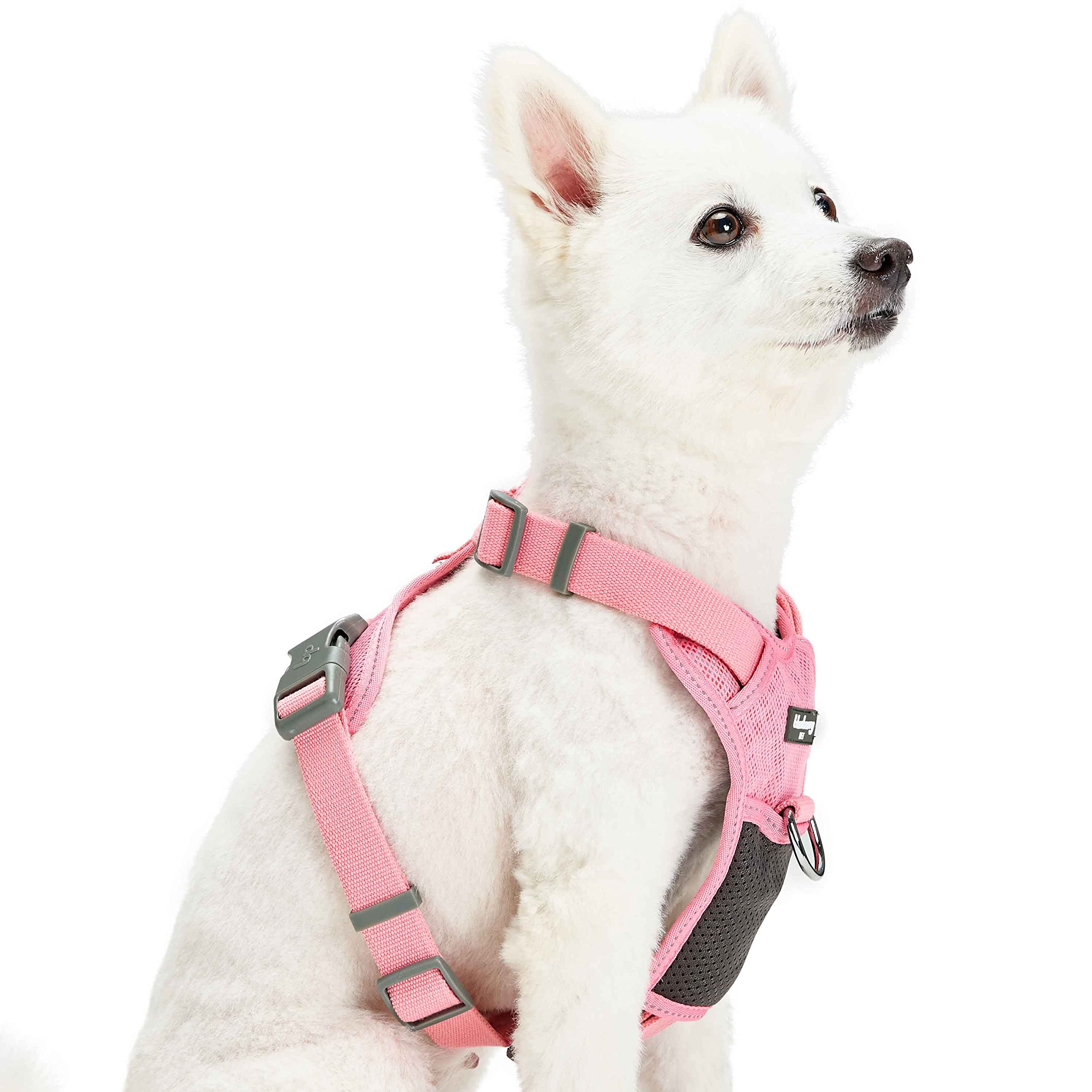 Blueberry Pet Soft & Comfy 3M Reflective Dog Harness Vest | Mesh Padded No Pull | Multi-Colored Stripe - Pink | Adjustable For S