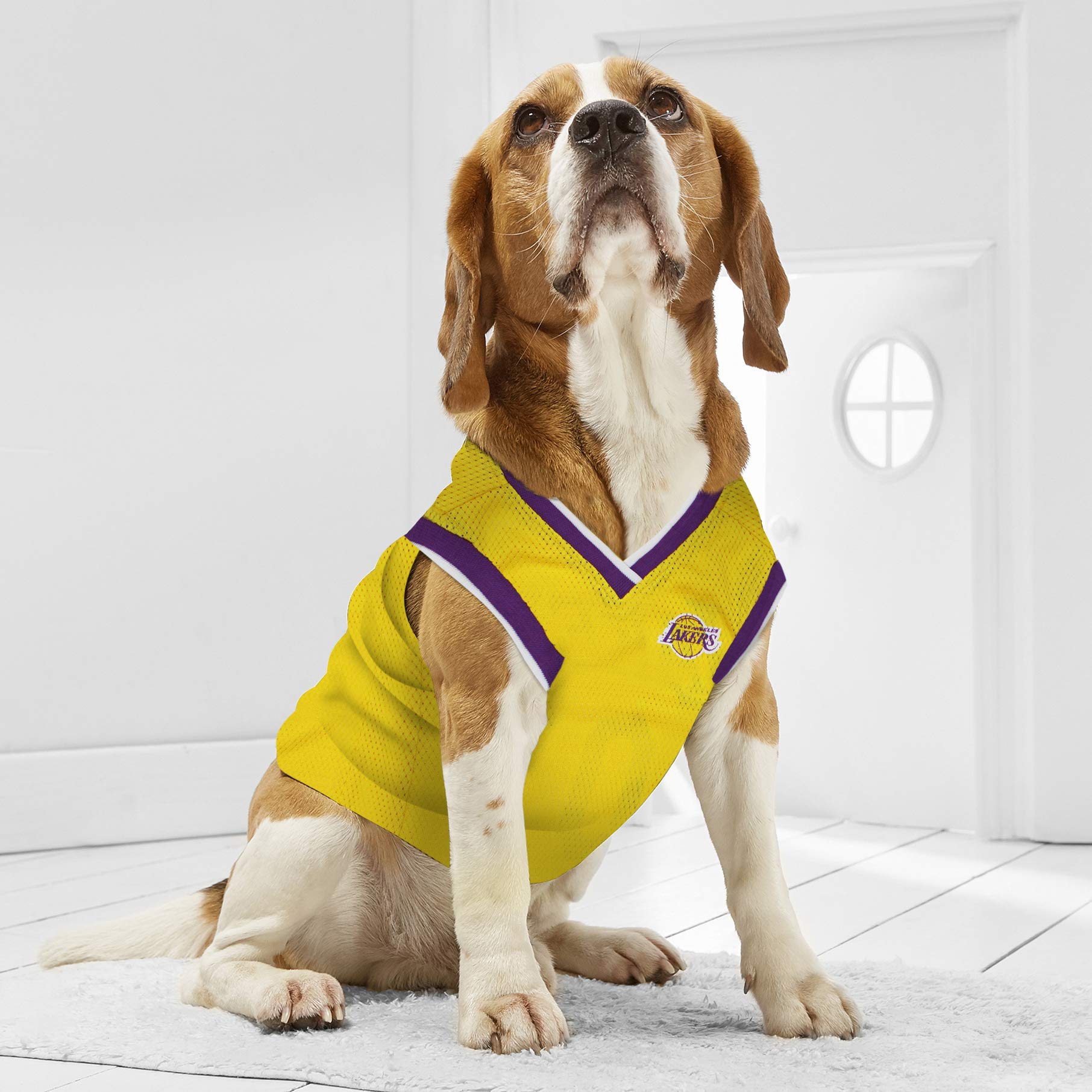NBA LOS ANGELES LAKERS DOG Jersey, Small - Tank Top Basketball Pet Jersey
