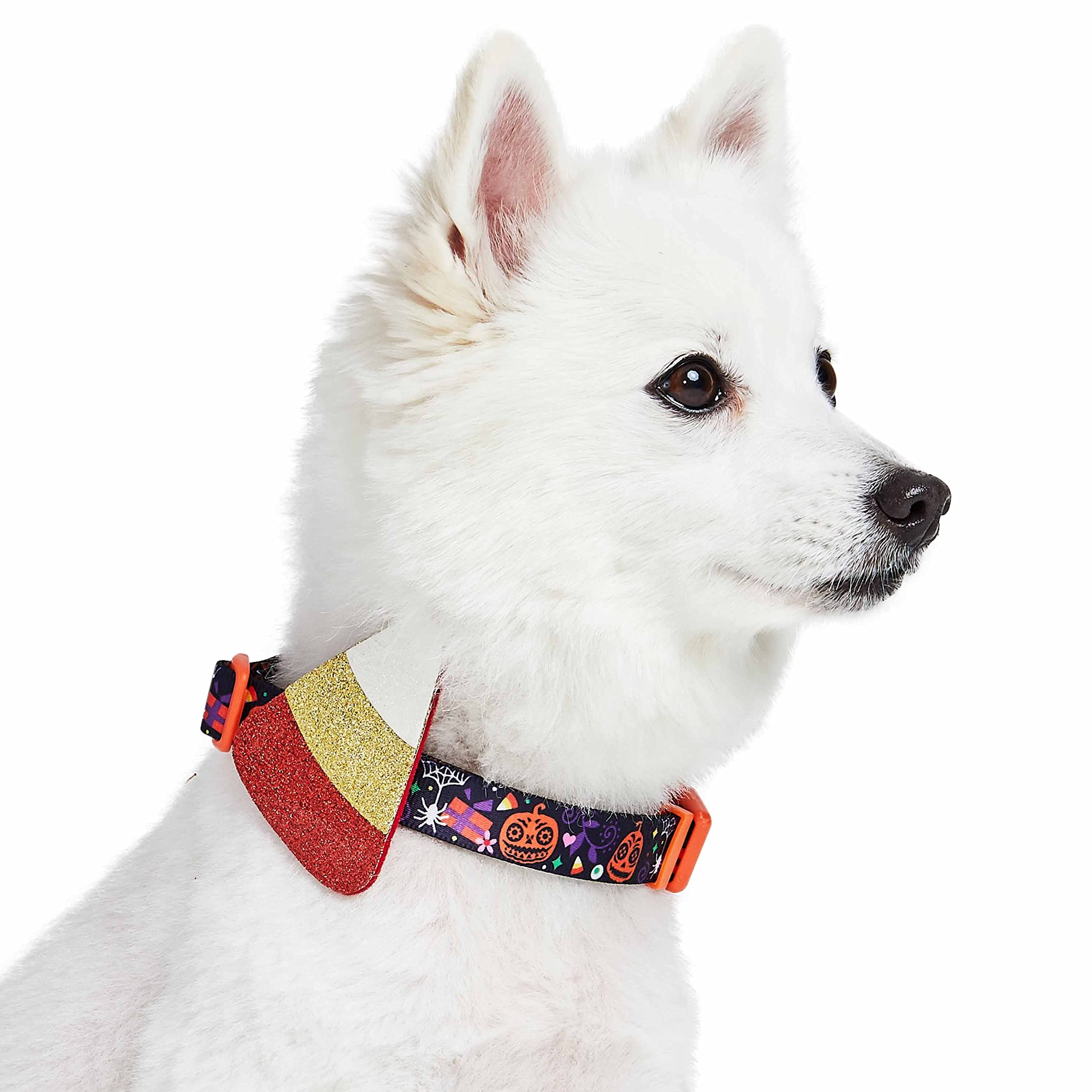 Blueberry Pet Halloween Witch Hat Adjustable Dog Collar With Detachable Glitter Accessory, Medium, Neck 14.5'-20'