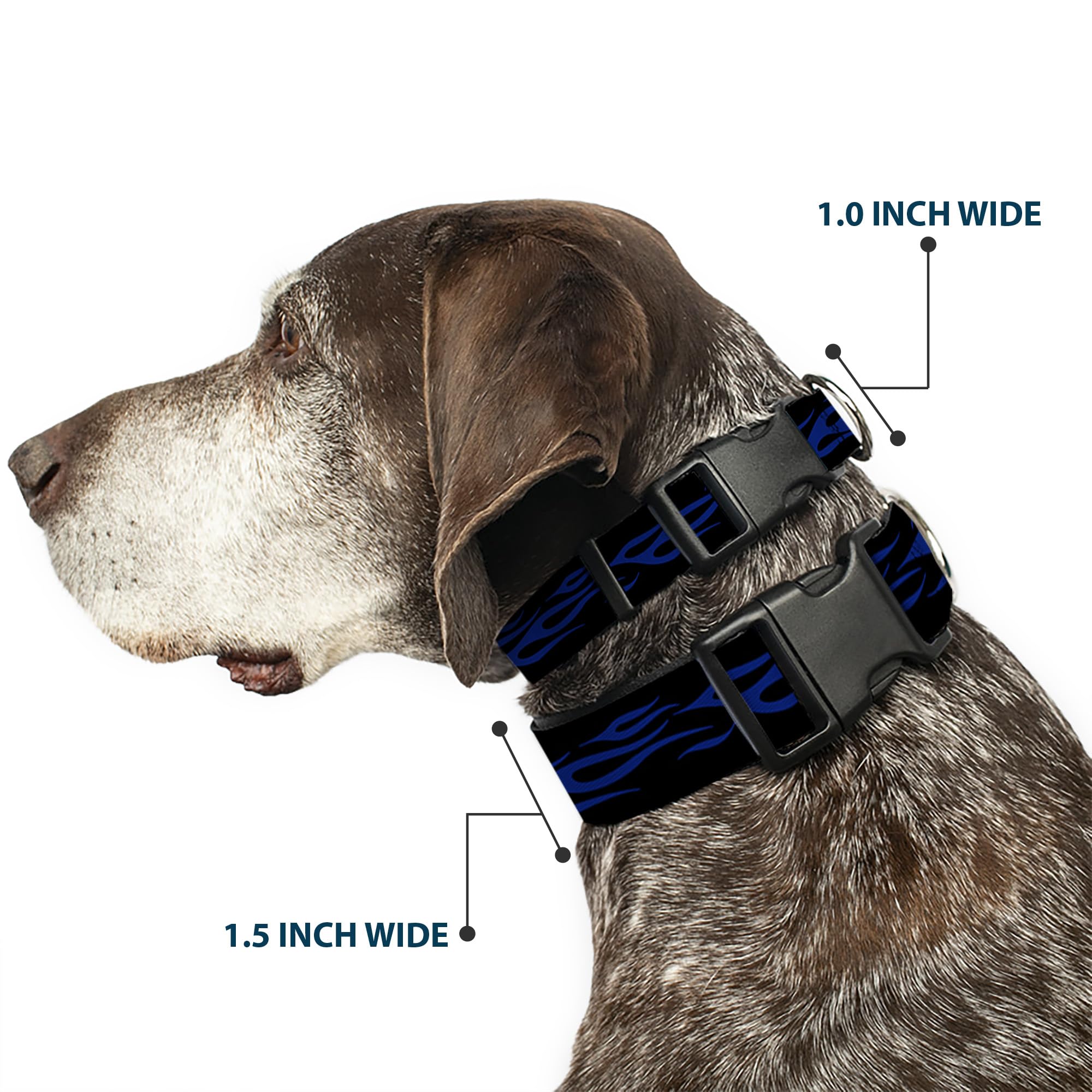 Buckle-Down Plastic Clip Collar - Flame Blue - 1.5 Wide - Fits 18-32 Neck - Large
