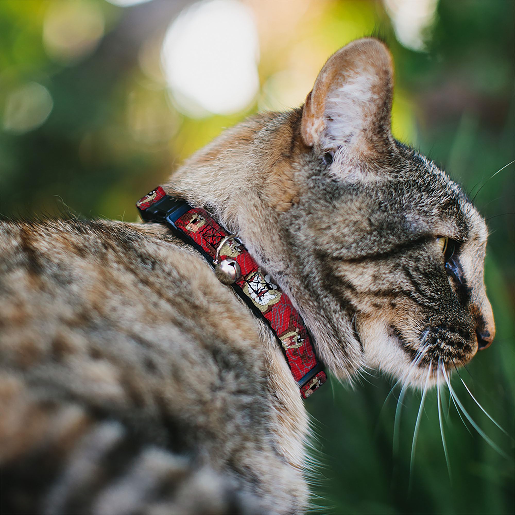 Cat Collar Breakaway Tasmanian Devil Expressions Red Swirl 8 To 12 Inches 0.5 Inch Wide