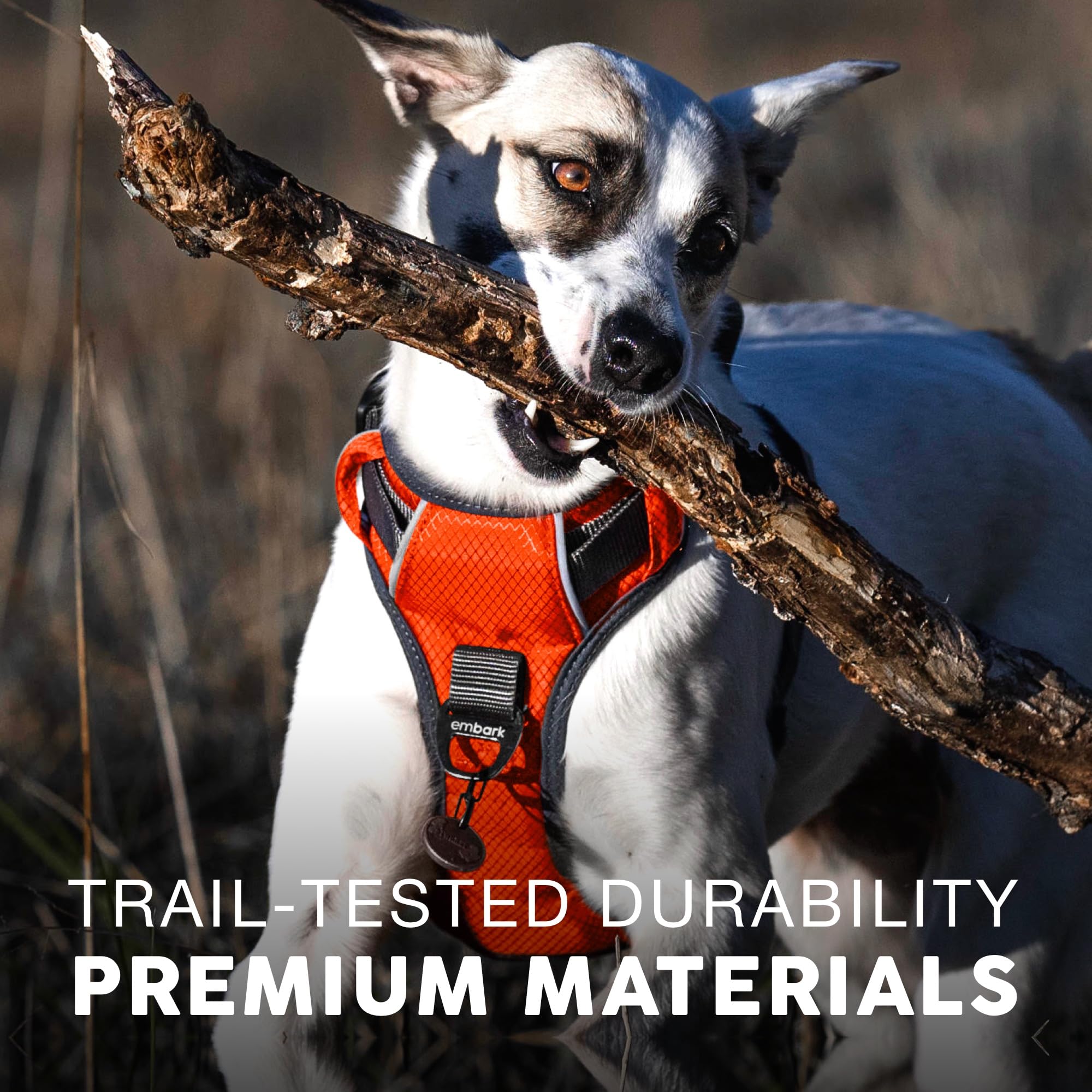 Embark Adventure Dog Harness, No Pull Dog Harness With 2 Leash Clips, Dog Harness For Medium Dogs No Pull. Front & Back With Con
