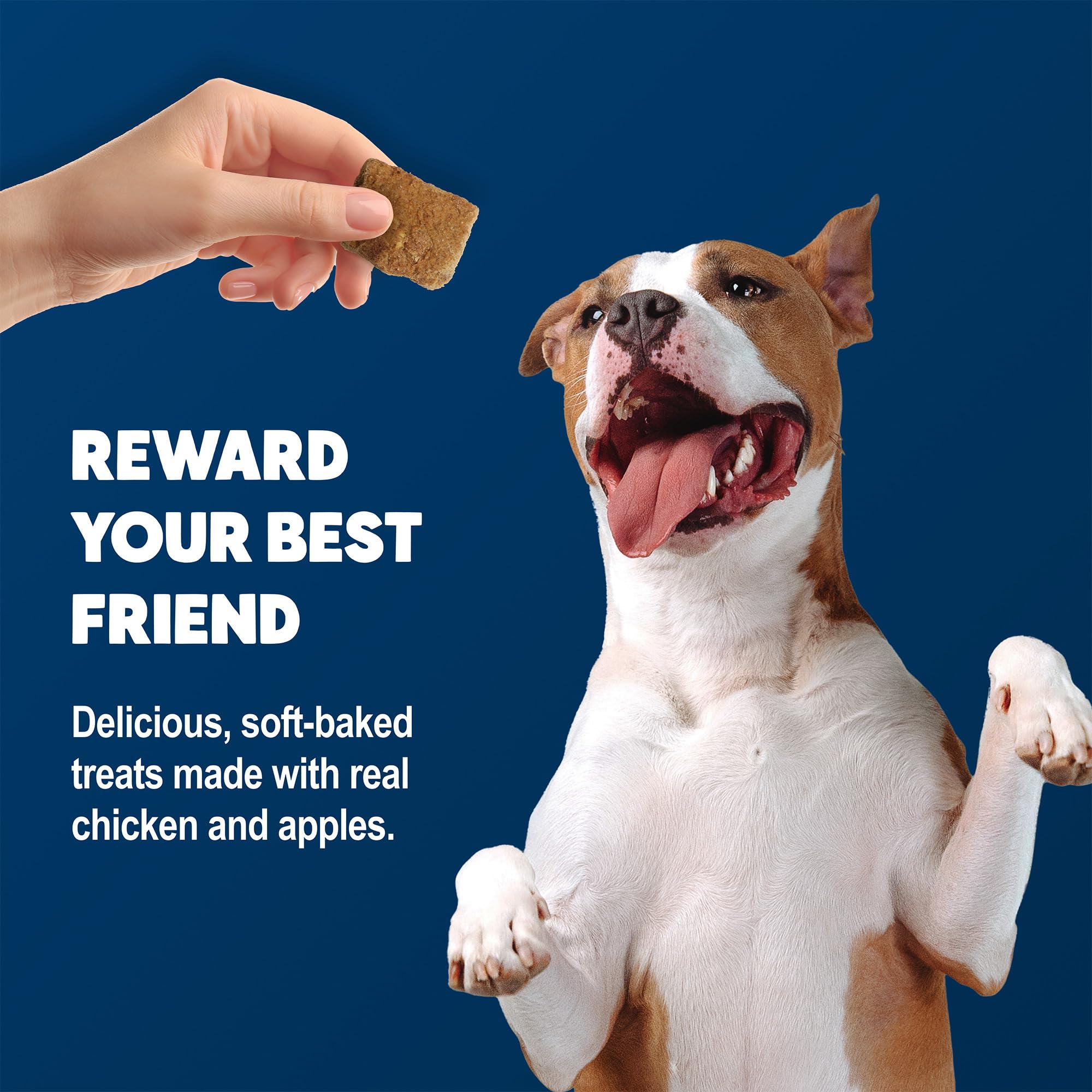 Blue Buffalo BeneBars Digestive Support Dog Treats with Prebiotic Fiber, Made with Natural Ingredients, USA Chicken & Apple, 9-o