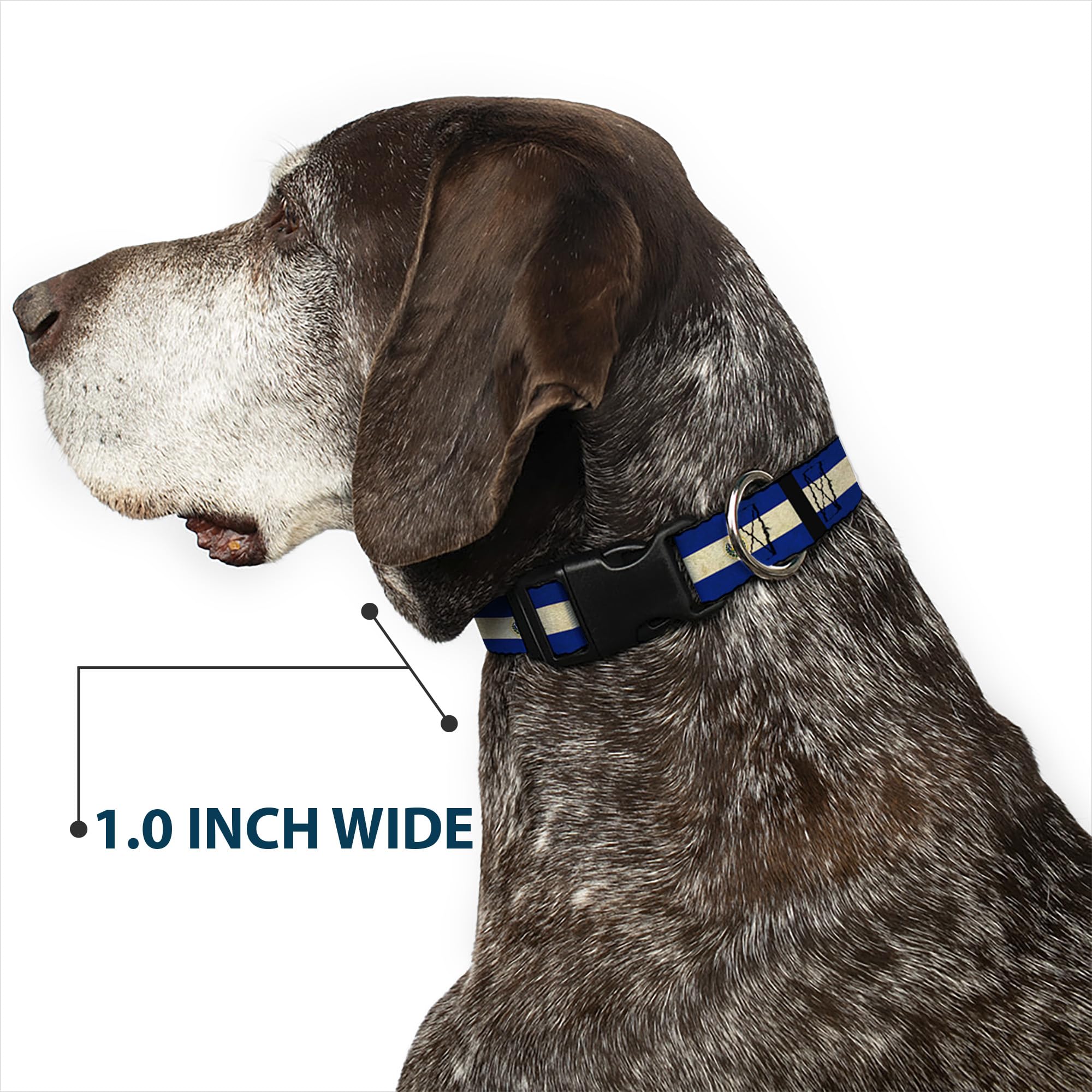 Buckle-Down PC-W30537-WS El Salvador Flag/Black Plastic Clip Collar, Wide Small/13-18
