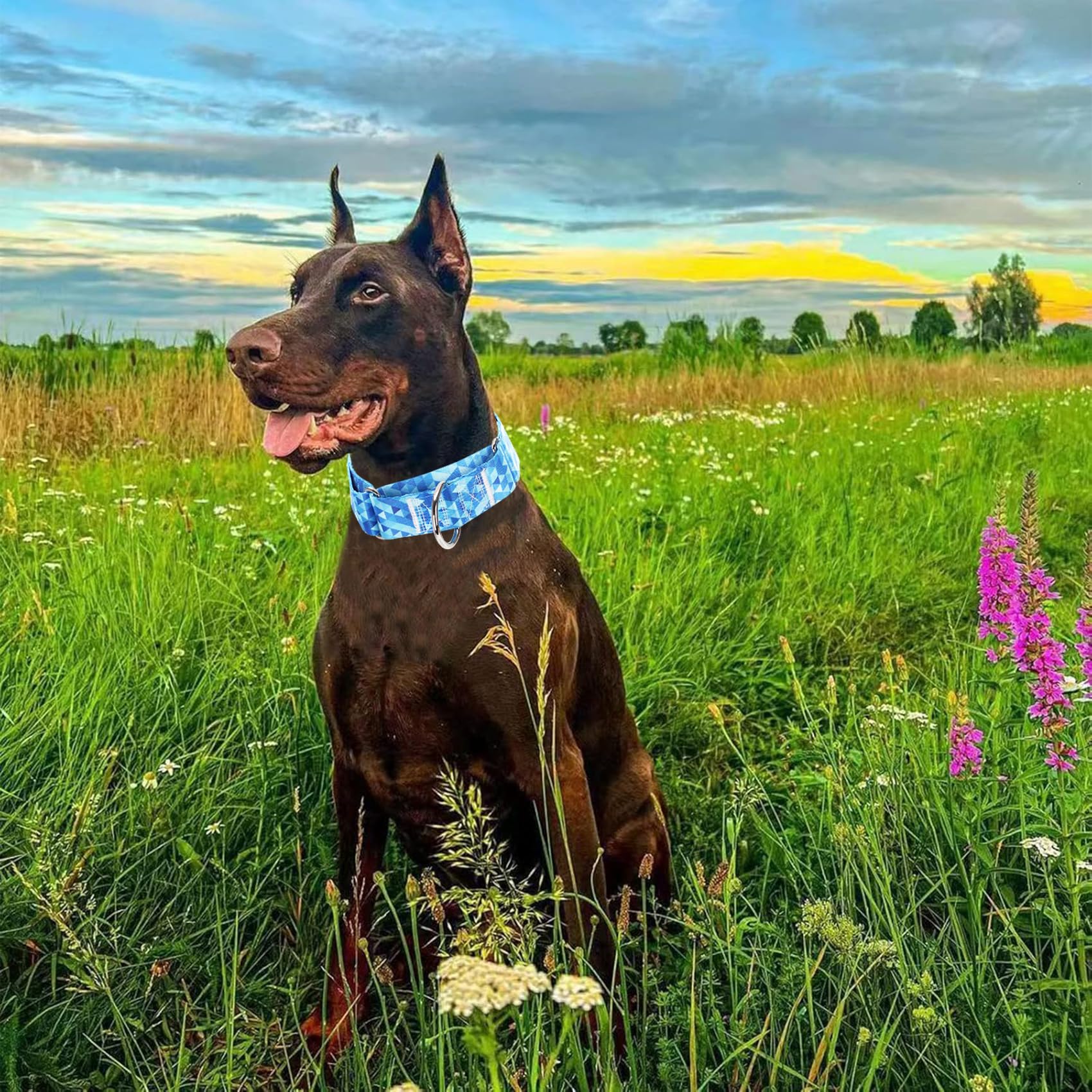 Martingale Dog Collar 1.5 Inch Wide - Heavy Duty Blue Adjustable Collar For Large Dogs, Big Neck & Head Breeds, Secure Training