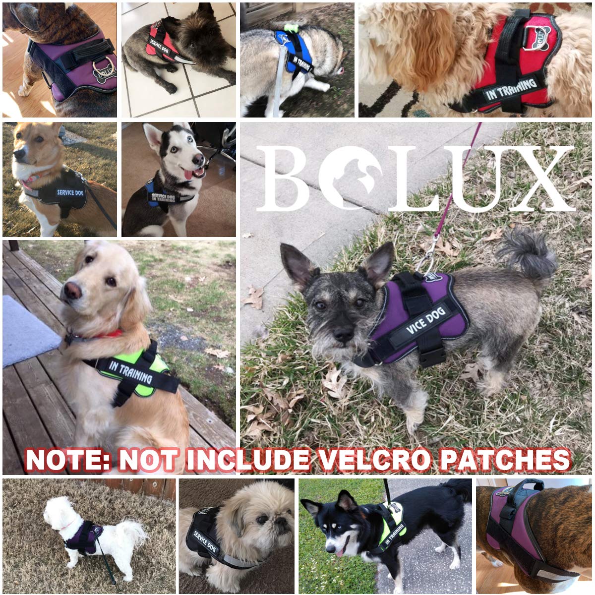 Bolux Dog Harness - No-Pull Reflective Vest, Breathable, Adjustable, Large (L), Rose Red, Model DC112-Rose-L
