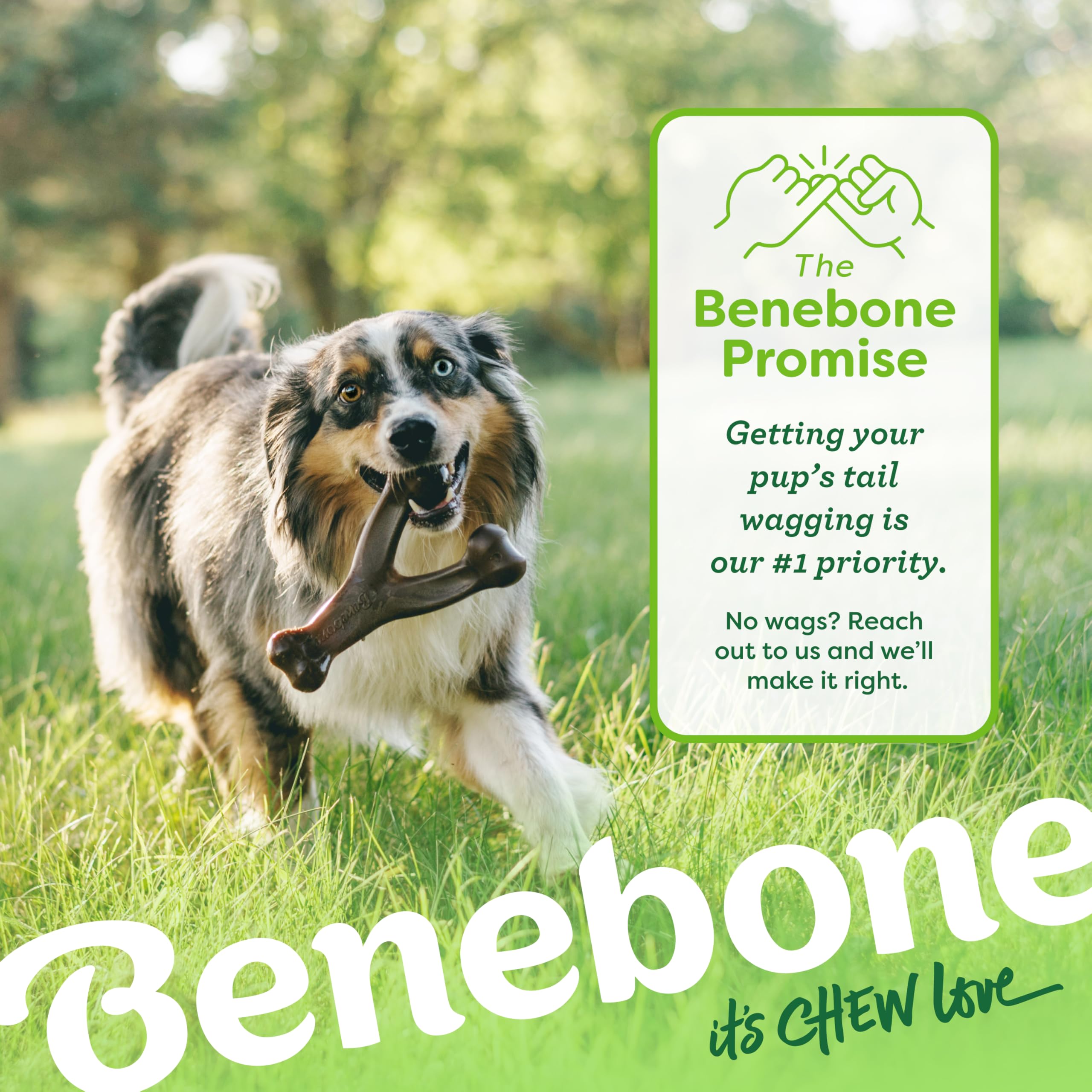 Benebone 2 Count (Pack Of 1) Wishbone/Dental Durable Dog Chew Toys, Real Bacon, Made In Usa, Small
