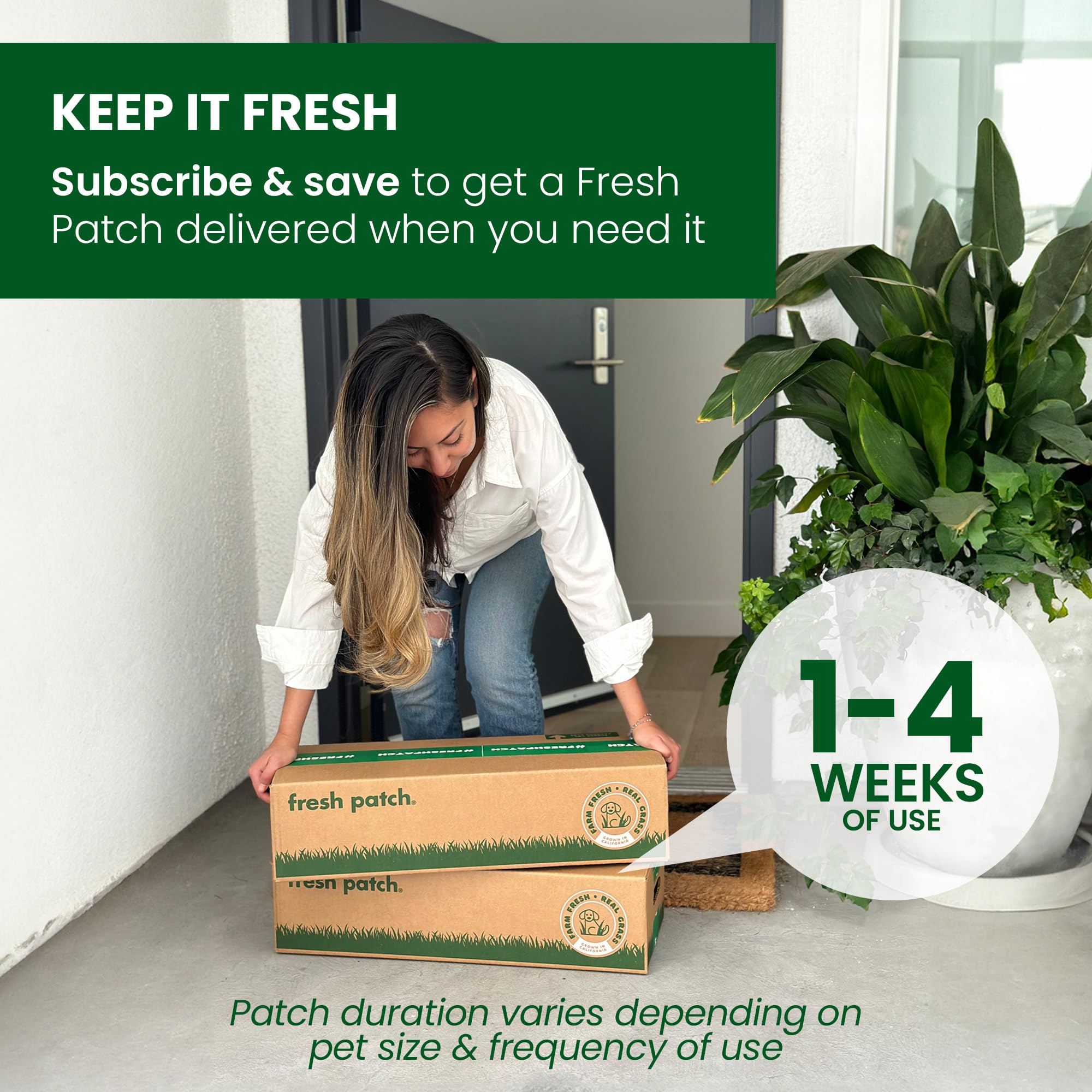 Fresh Patch Real Grass Patch for Dogs & Cats, XL Hydroponic Grass, Green, 24"x48", Disposable Indoor/Outdoor Pee Pads