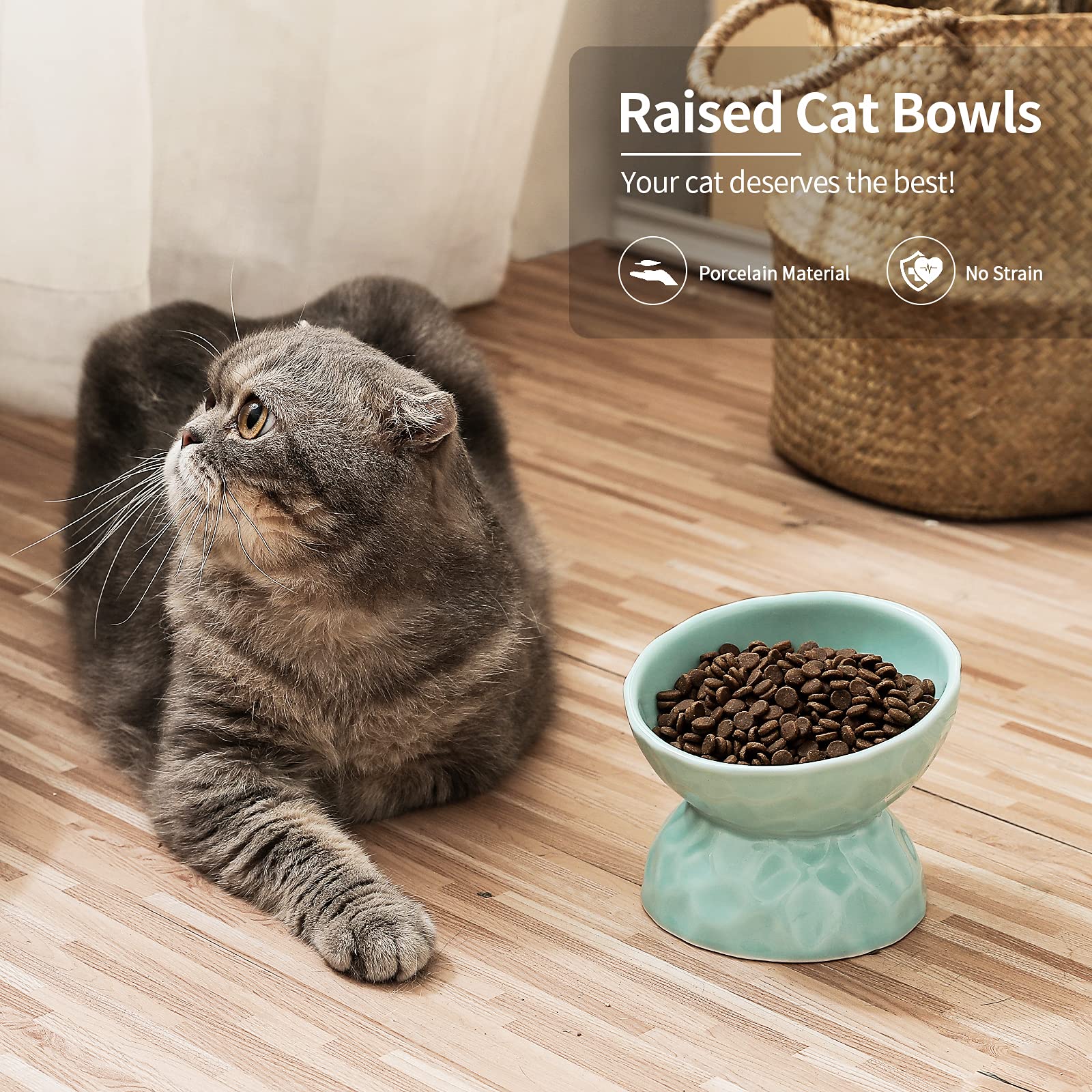 Tamaykim Ceramic Tilted Cat Bowls, 8 Oz, 5 Inch, Set Of 2, White & Mint Green