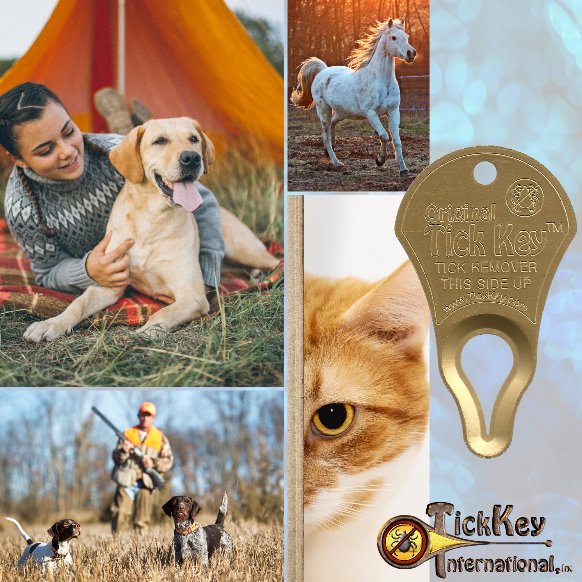 The Original Tick Key - Tick Detaching Device - Portable, Safe And Highly Effective Tick Detaching Tool (Gold)