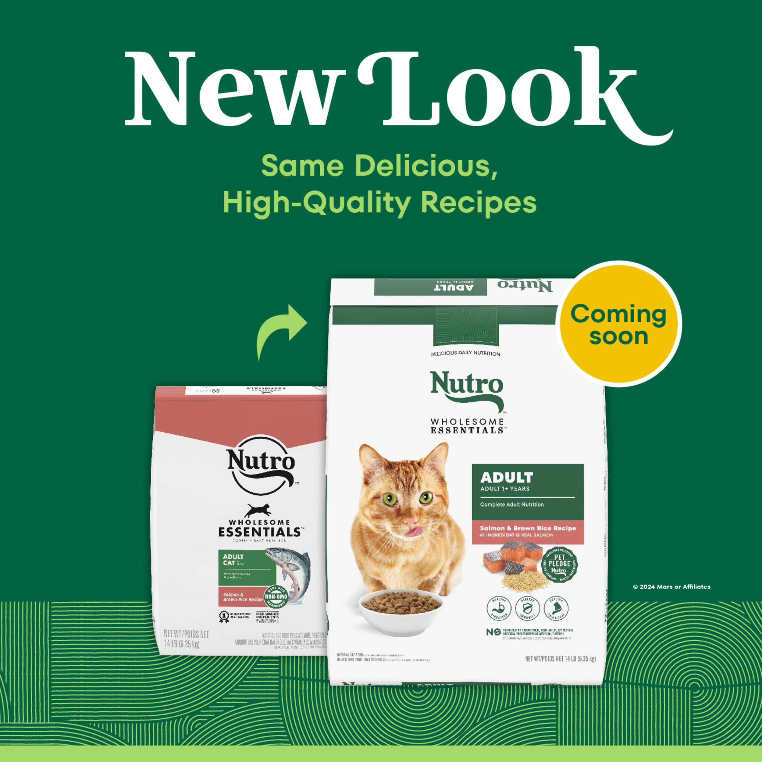 NUTRO WHOLESOME ESSENTIALS Adult Natural Dry Cat Food Salmon & Brown Rice Recipe, 14 lb. Bag