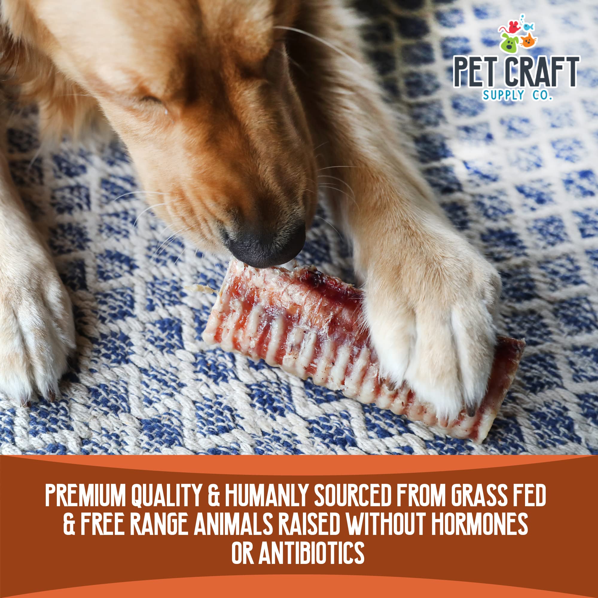 Pet Craft Supply All Natural Healthy Buffalo Trachea Bones Dog Chews Treats for Aggressive Chewers Long Lasting Rawhide Free Pre