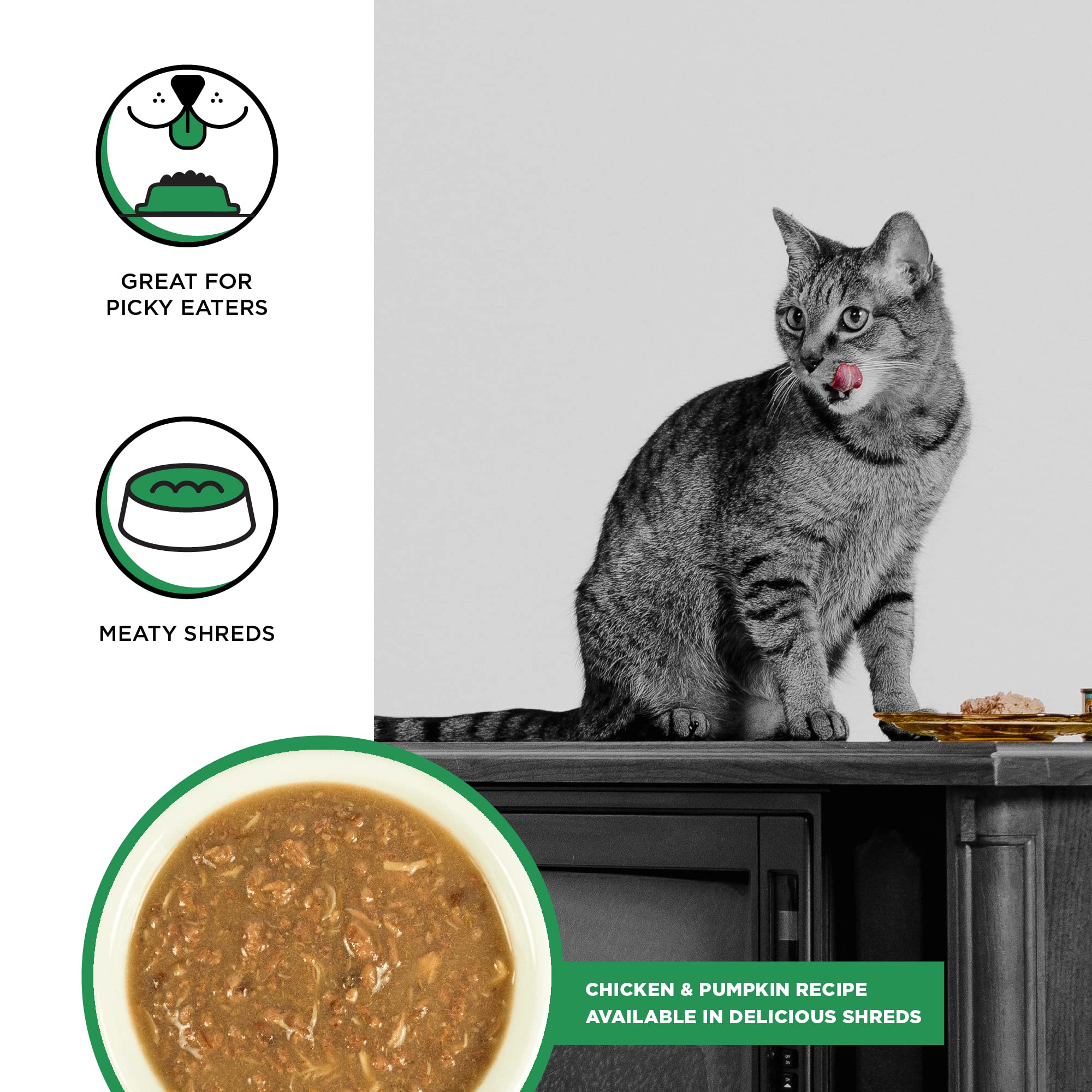 BIXBI Rawbble Shredded Chicken & Pumpkin Recipe Cans - Grain Free, Protein Rich Wet Cat Food - (5 Ounce Cans, Case of 24)