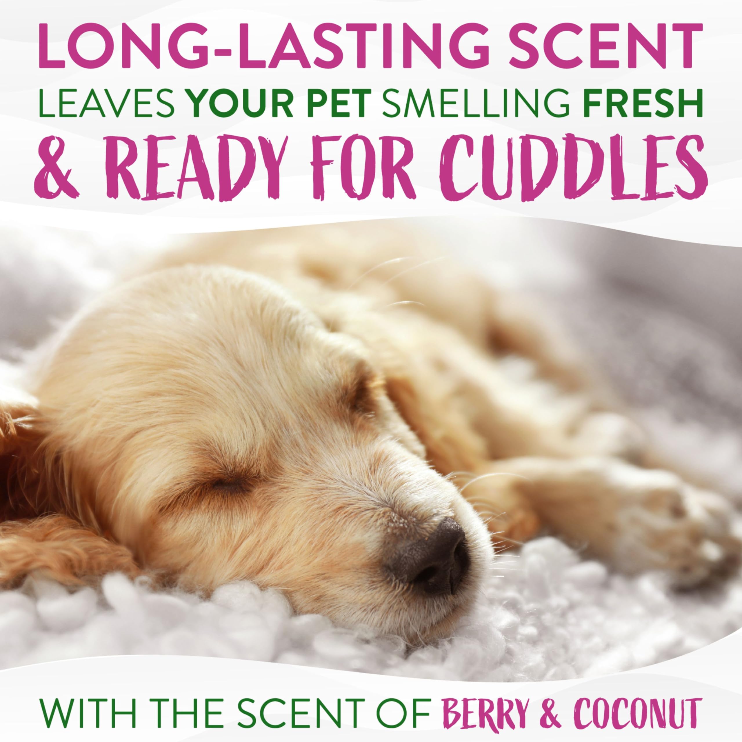 Tropiclean Berry & Coconut Dog Wipes For Paws And Butt | Deep Cleaning Dog Grooming Wipes | Safe For The Face | Cat Friendly | 100 Count